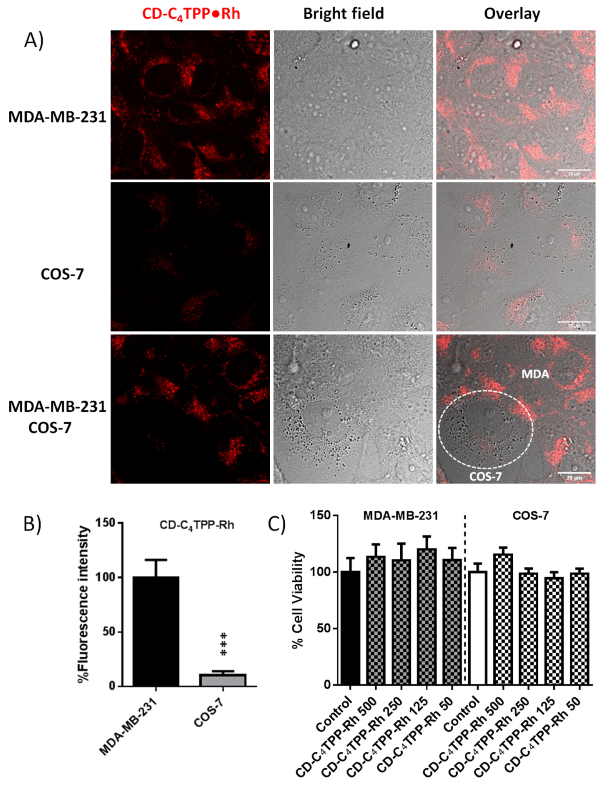 Pharmaceuticals 14 00932 g008
