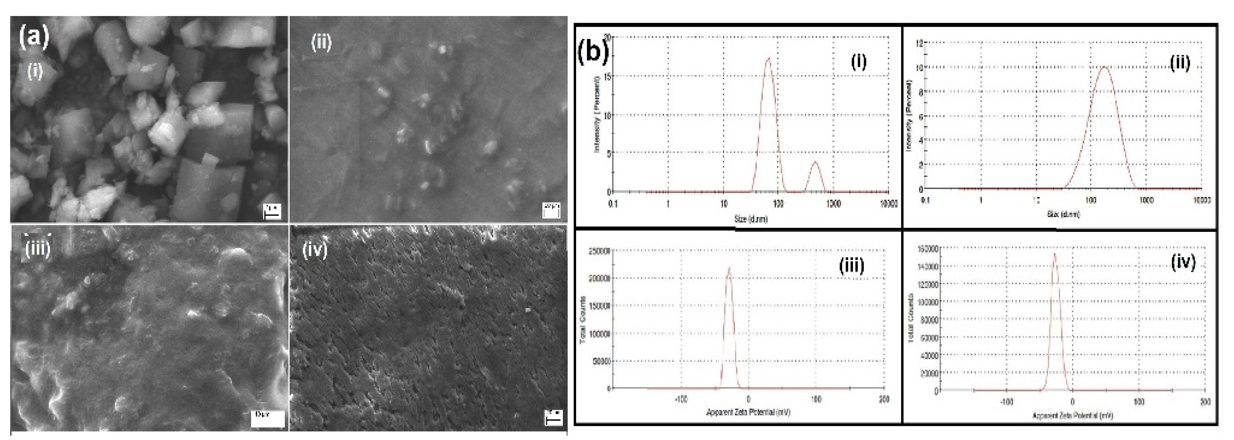 Pharmaceuticals 14 00939 g005