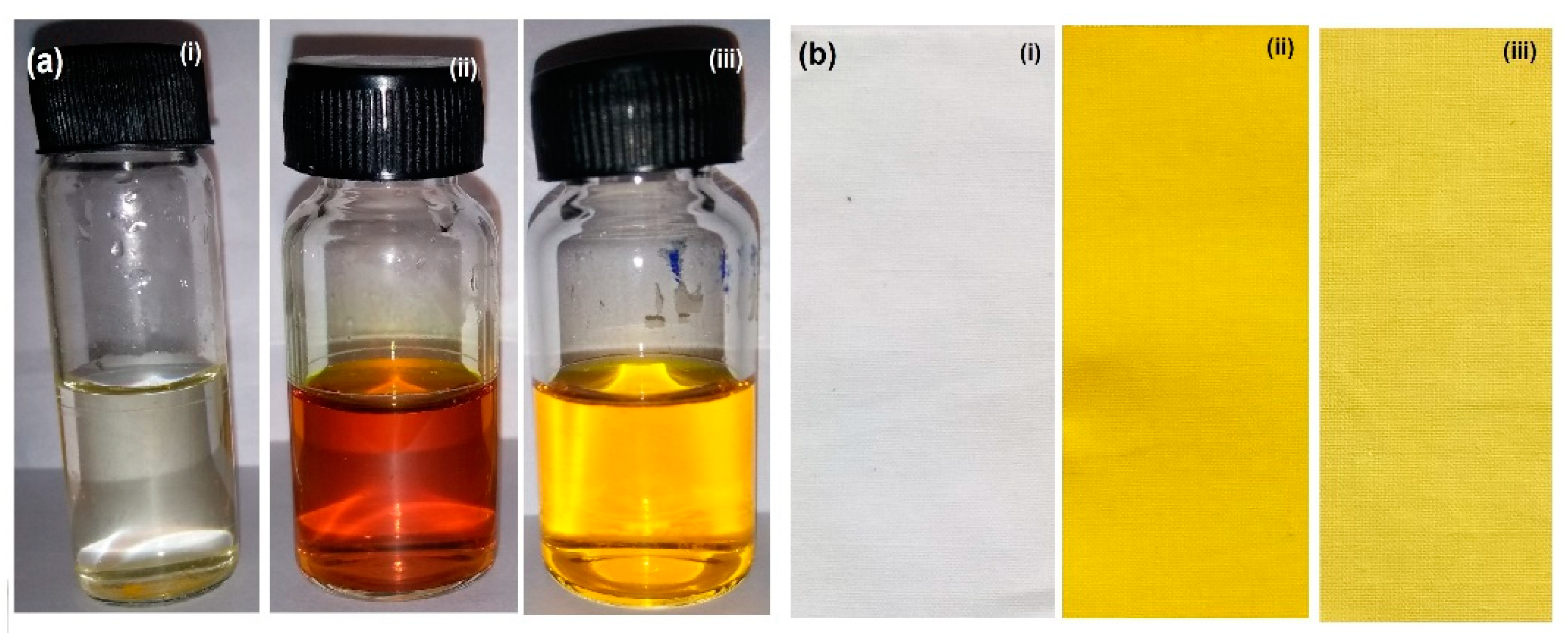 Pharmaceuticals 14 00939 g006