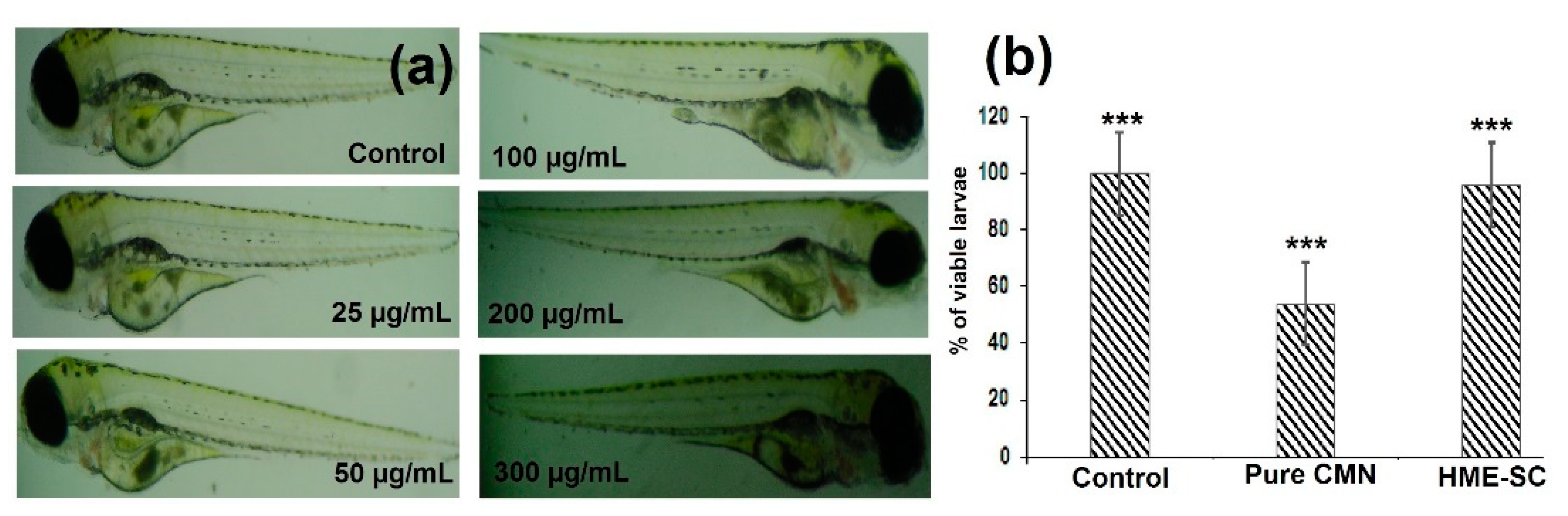 Pharmaceuticals 14 00939 g010