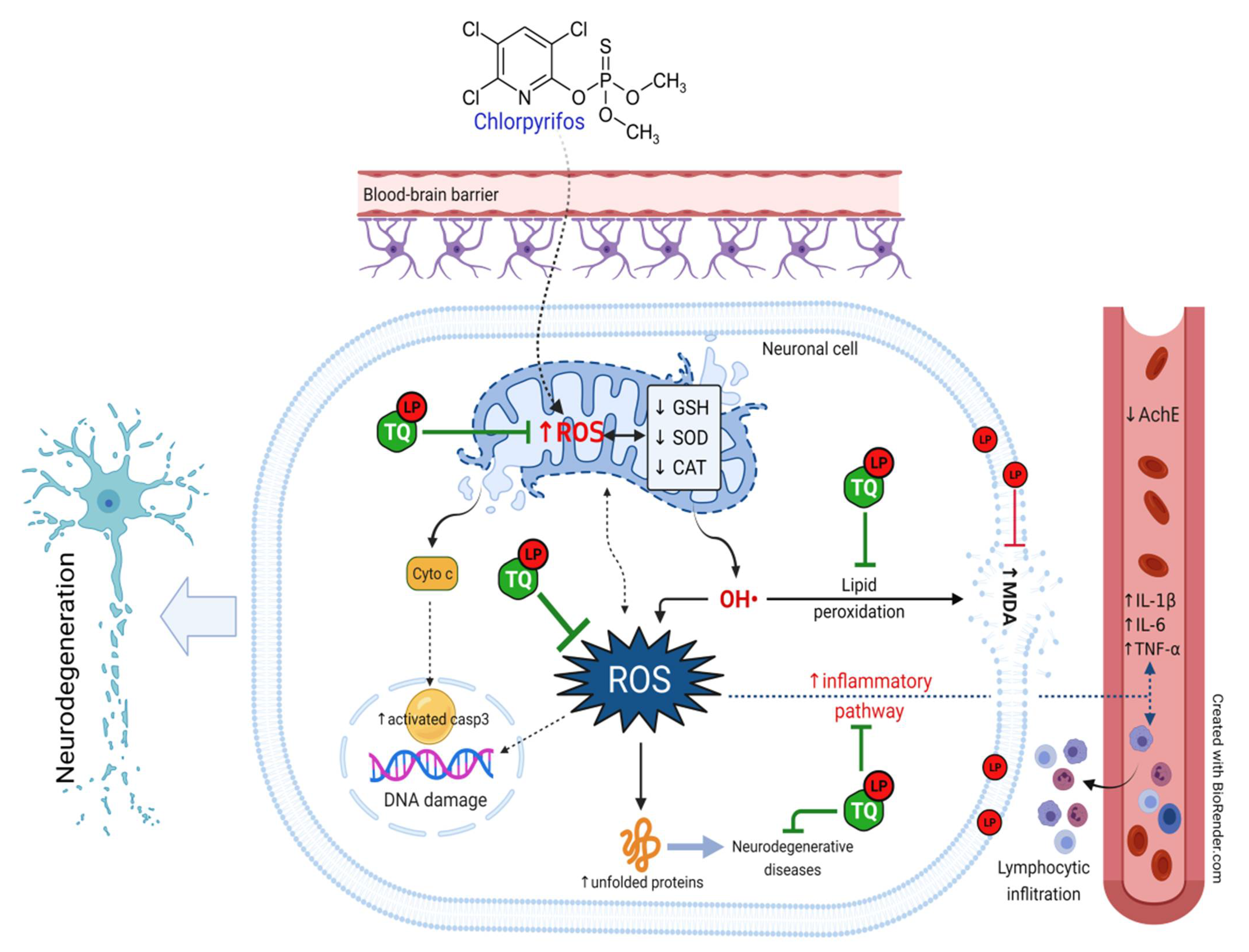 Pharmaceuticals 14 00940 g007