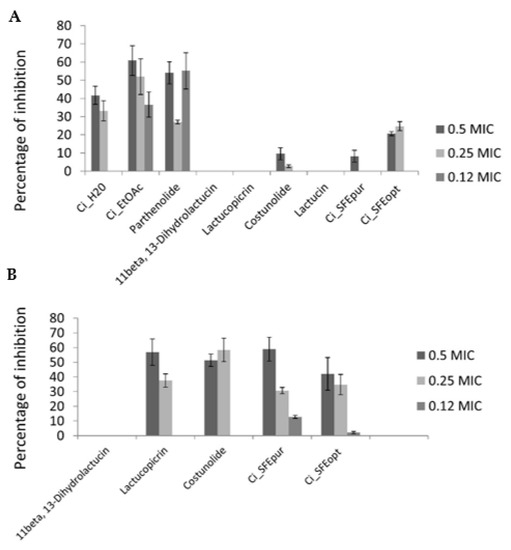 Pharmaceuticals Free Full Text Chicory Extracts And Sesquiterpene Lactones Show Potent Activity Against Bacterial And Fungal Pathogens Html