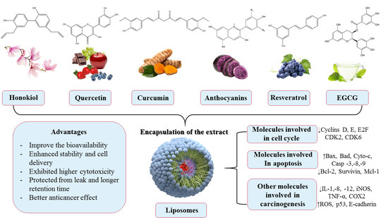 Pharmaceuticals | Free Full-Text | Novel Delivery Systems of ...