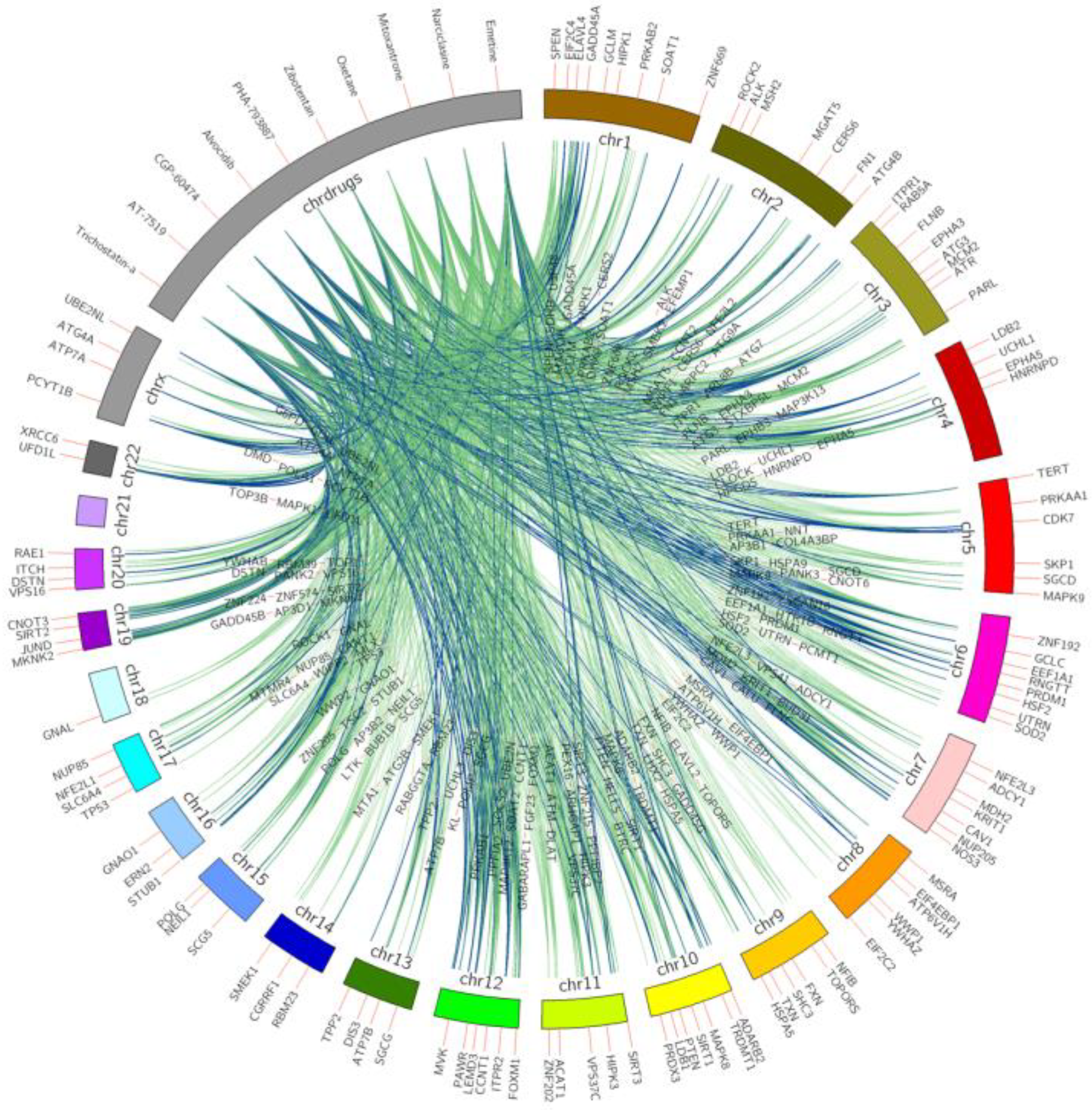 Pharmaceuticals 14 00948 g001