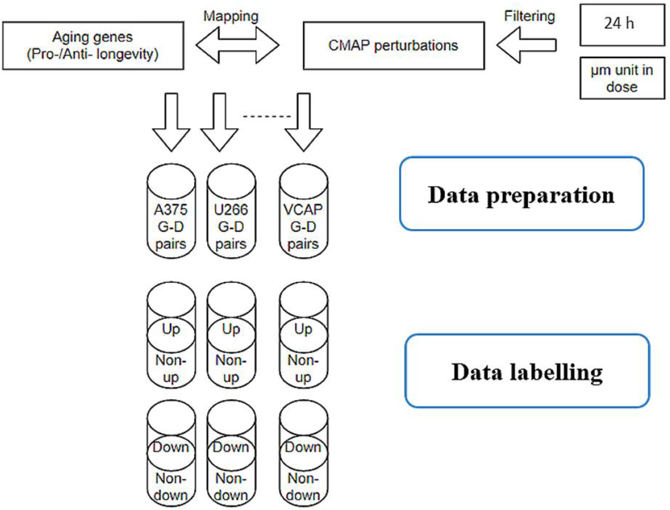 Pharmaceuticals 14 00948 g006