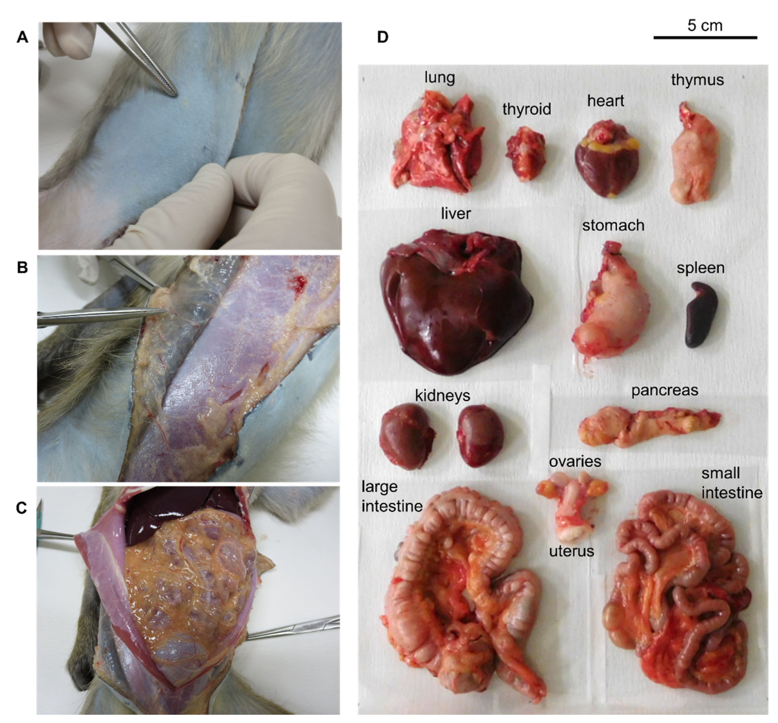 Pharmaceuticals 14 00950 g004