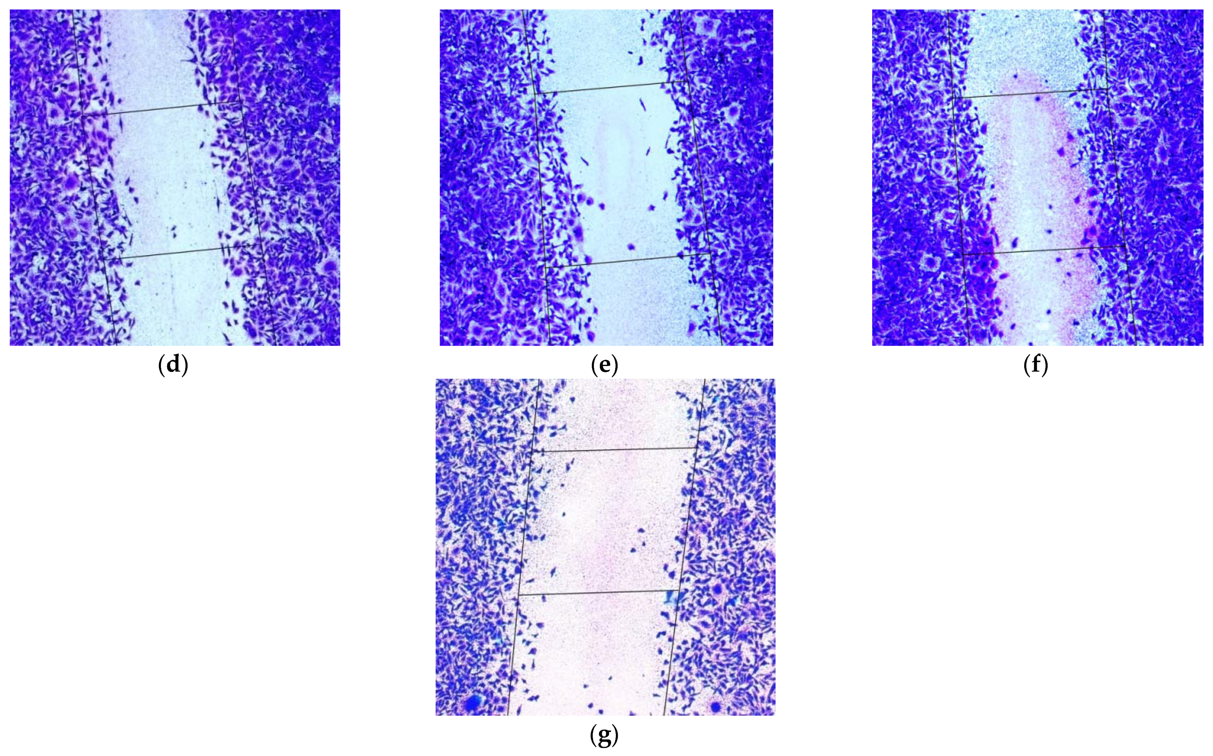 Pharmaceuticals 14 00957 g005b Pharmaceuticals 14 00957 g005b