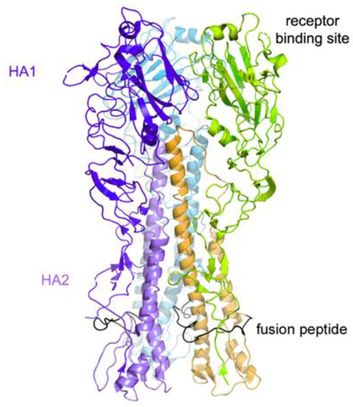 Pharmaceuticals 14 00959 g001 550