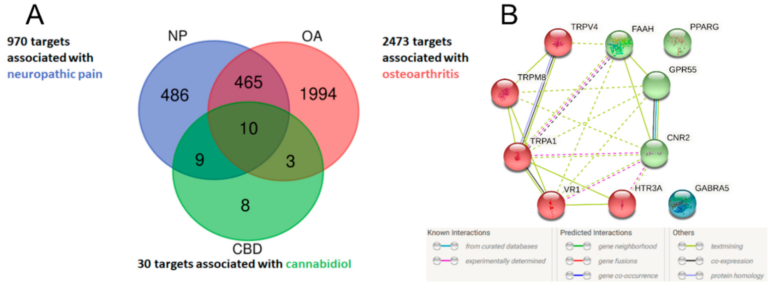Pharmaceuticals 14 00964 g001