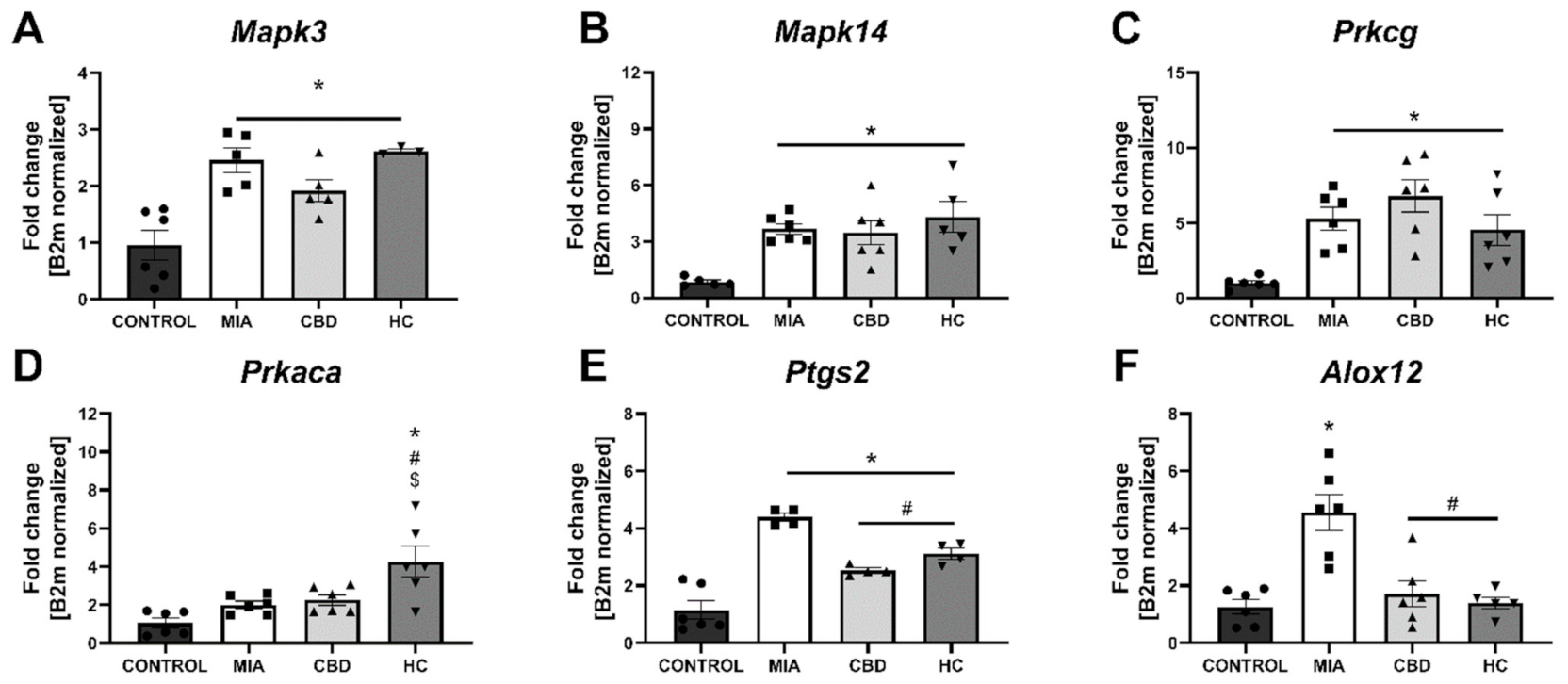 Pharmaceuticals 14 00964 g008