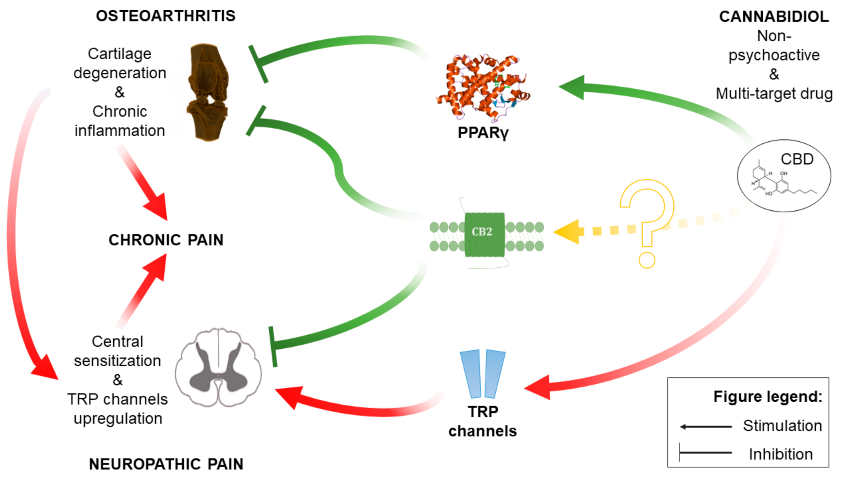 Pharmaceuticals 14 00964 g011