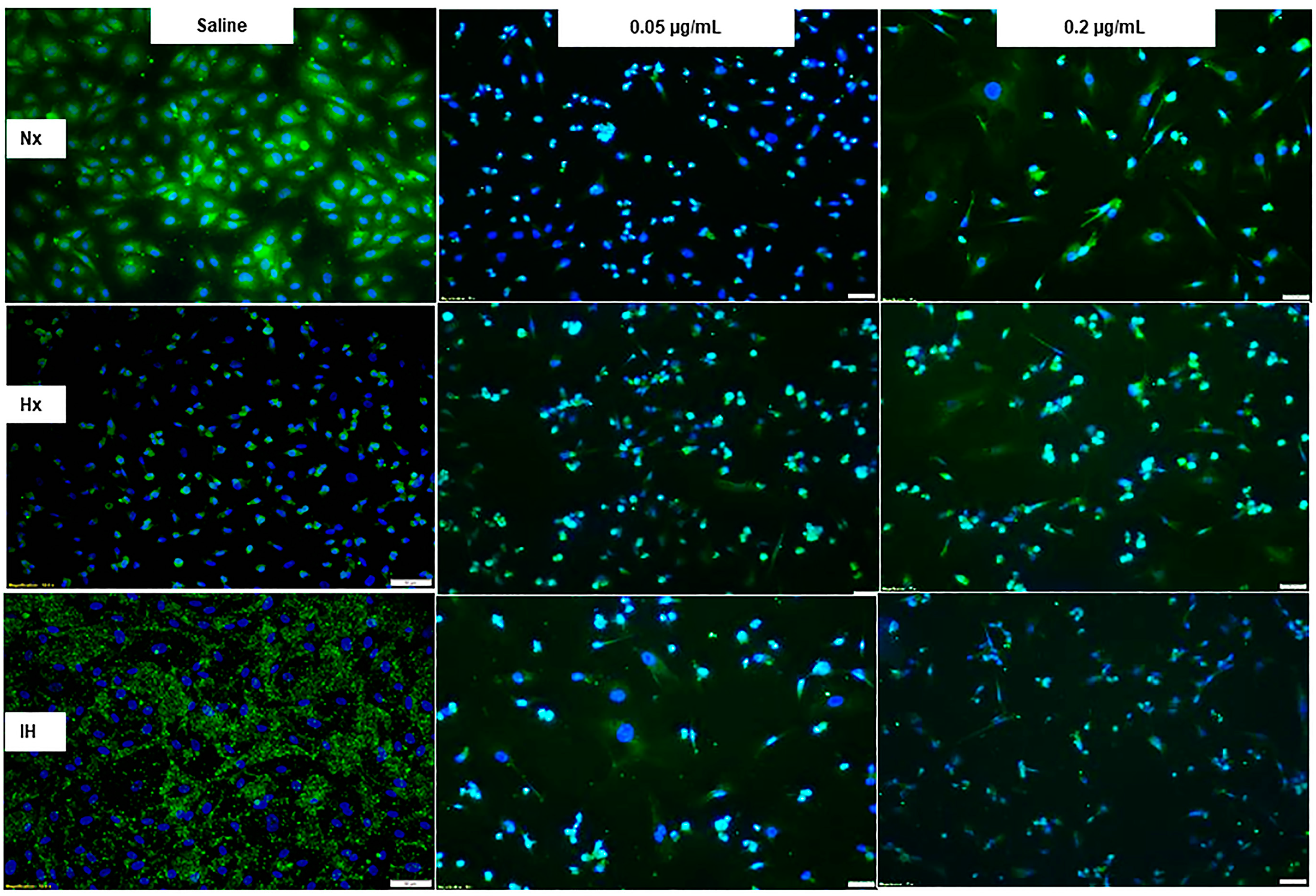 Pharmaceuticals 14 00967 g004 Pharmaceuticals 14 00967 g004