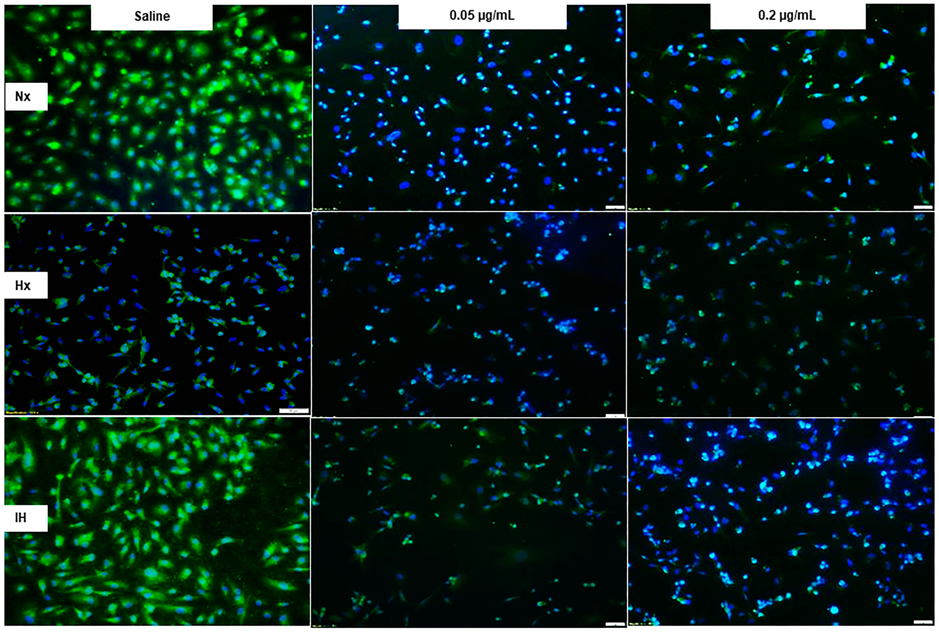 Pharmaceuticals 14 00967 g006 Pharmaceuticals 14 00967 g006
