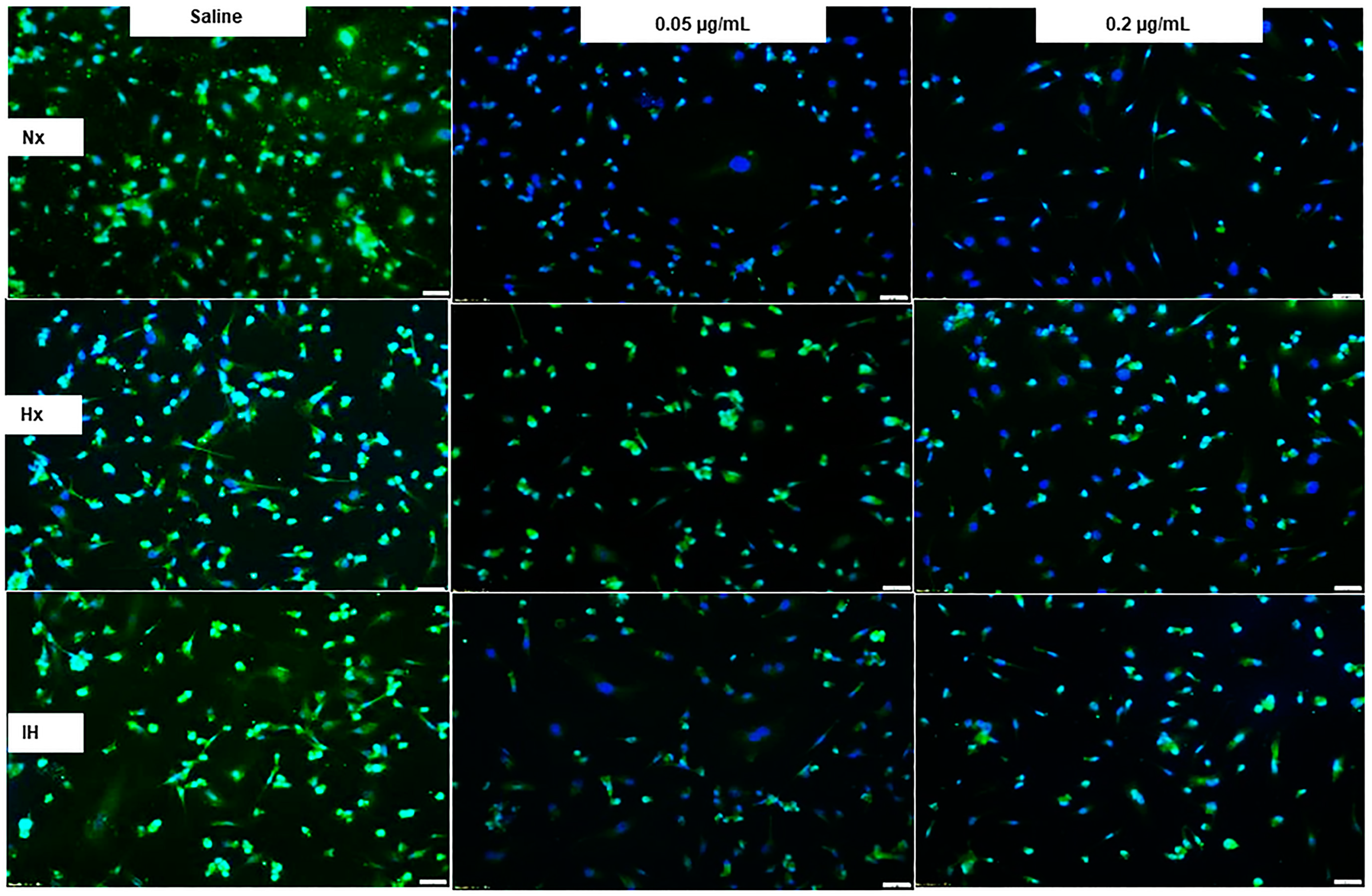 Pharmaceuticals 14 00967 g009 Pharmaceuticals 14 00967 g009
