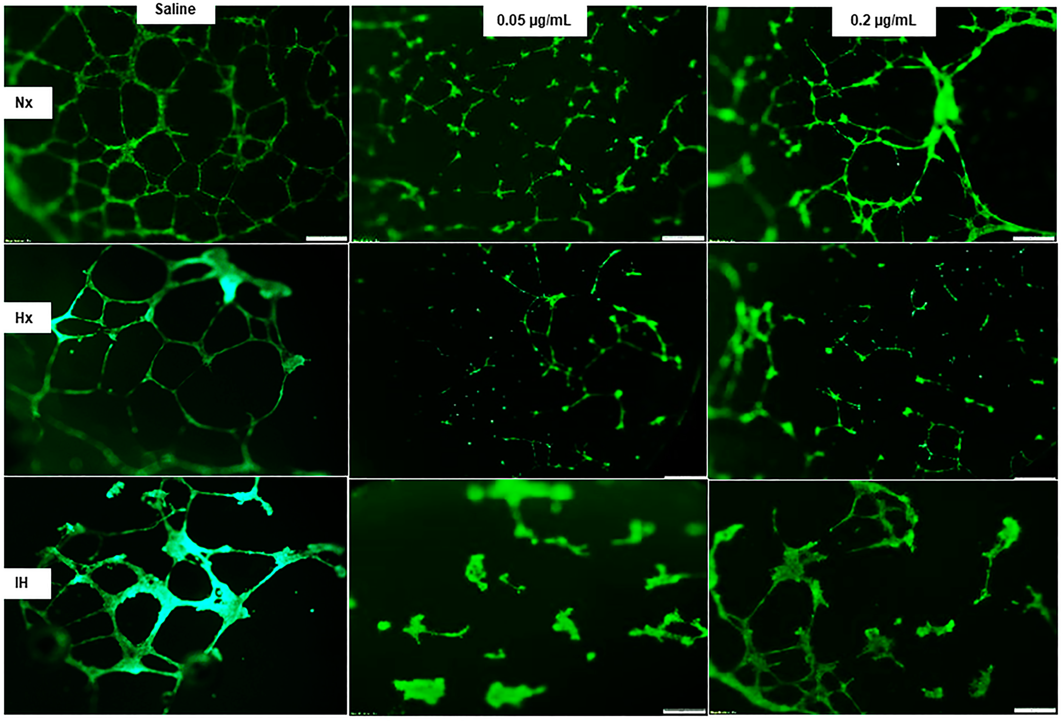Pharmaceuticals 14 00967 g010 Pharmaceuticals 14 00967 g010