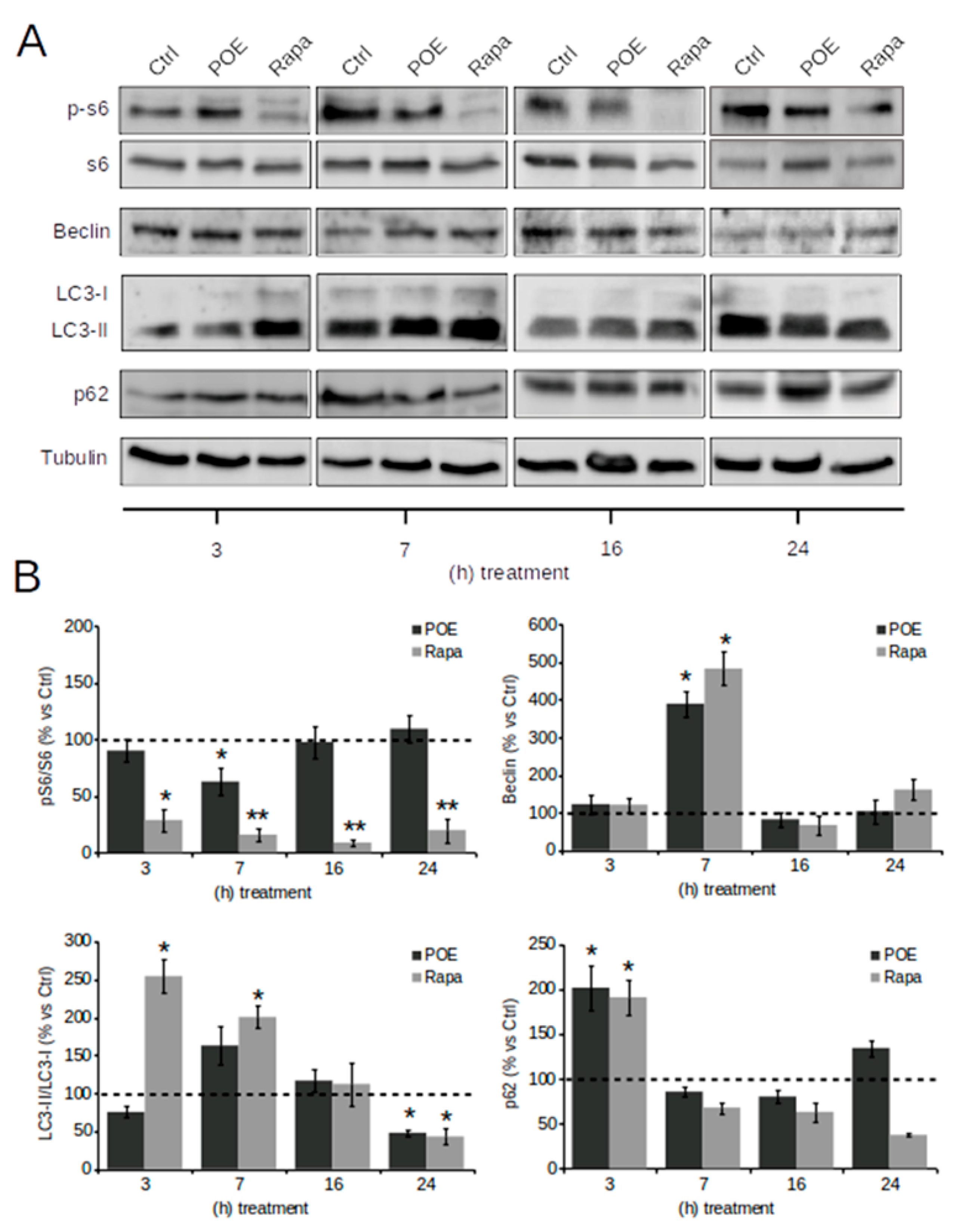 Pharmaceuticals 14 00969 g003
