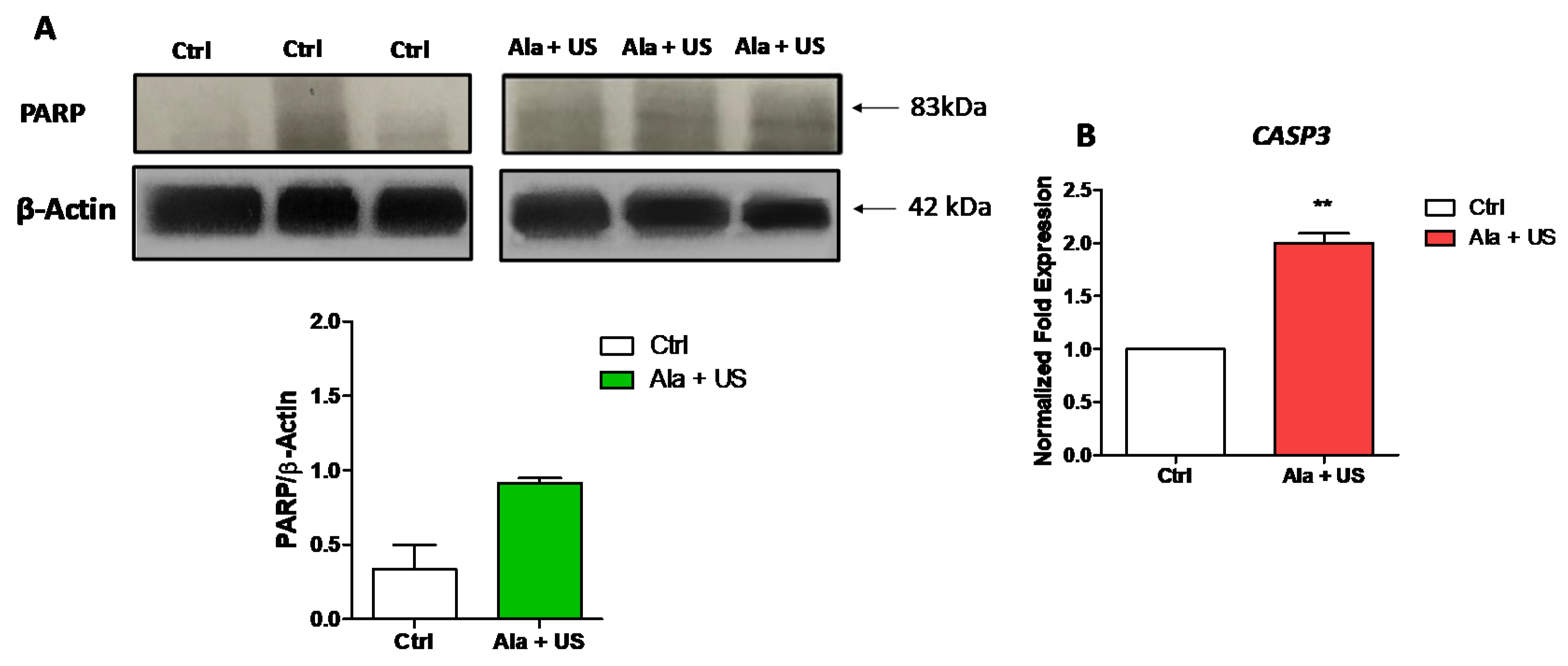 Pharmaceuticals 14 00972 g002