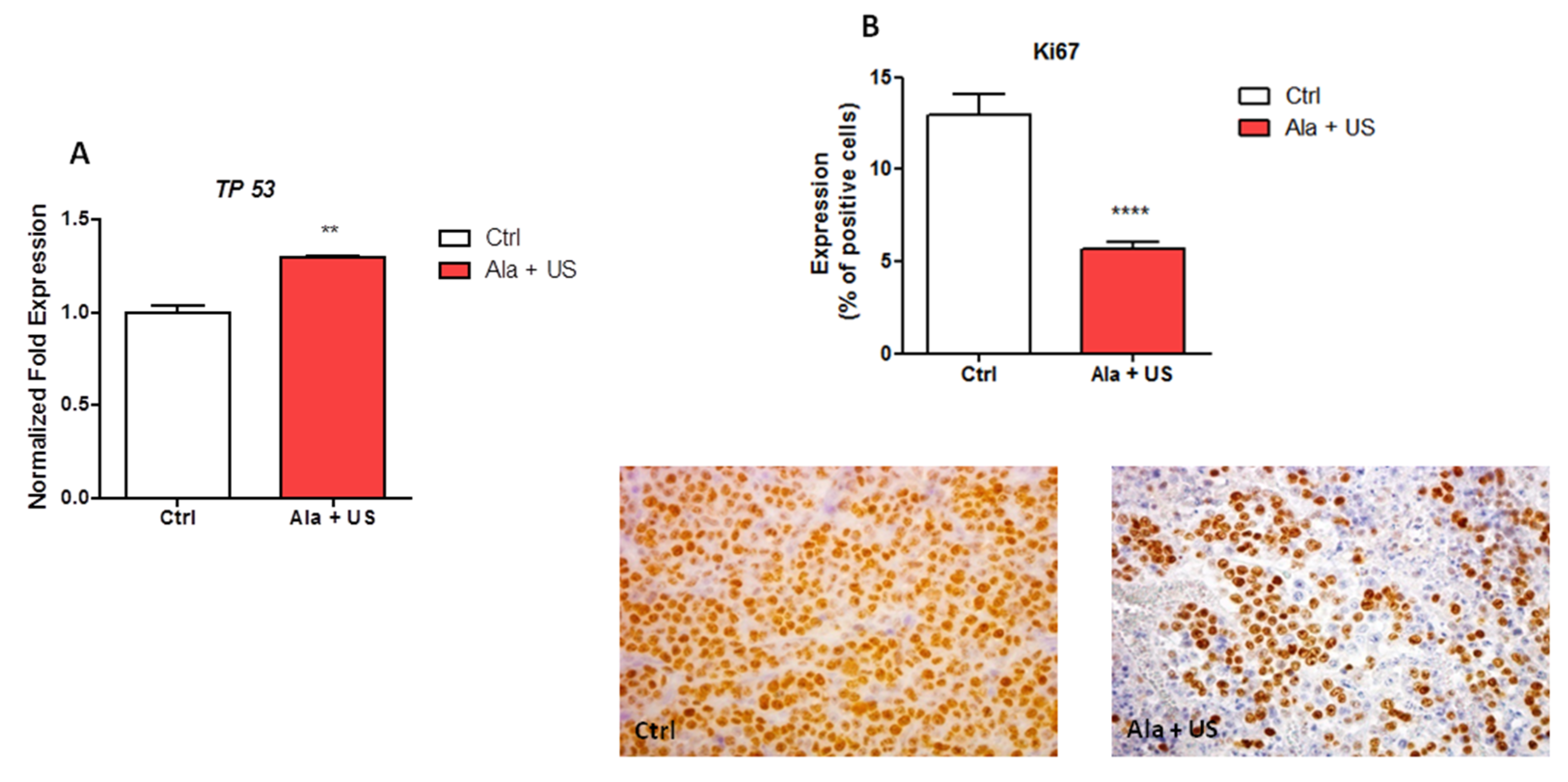 Pharmaceuticals 14 00972 g003