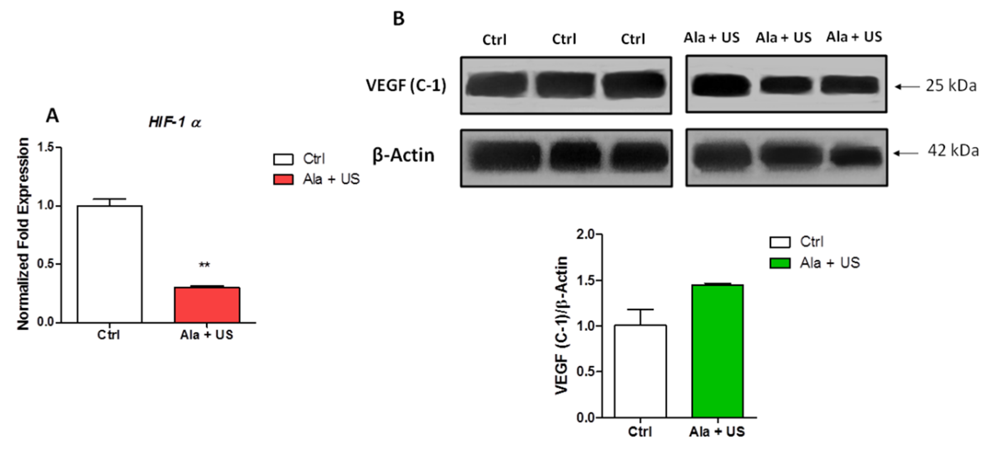 Pharmaceuticals 14 00972 g004