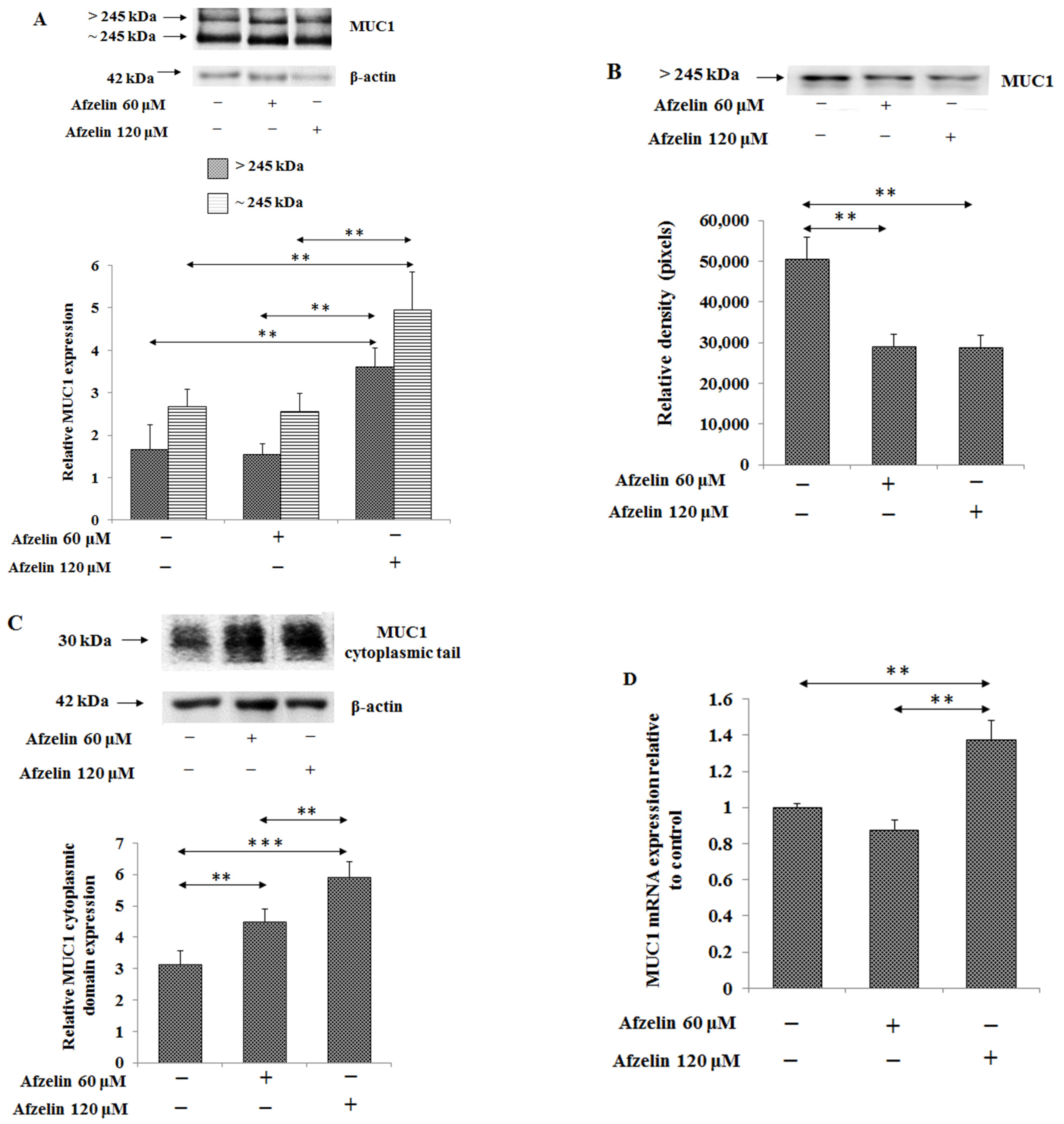 Pharmaceuticals 14 00973 g006 550