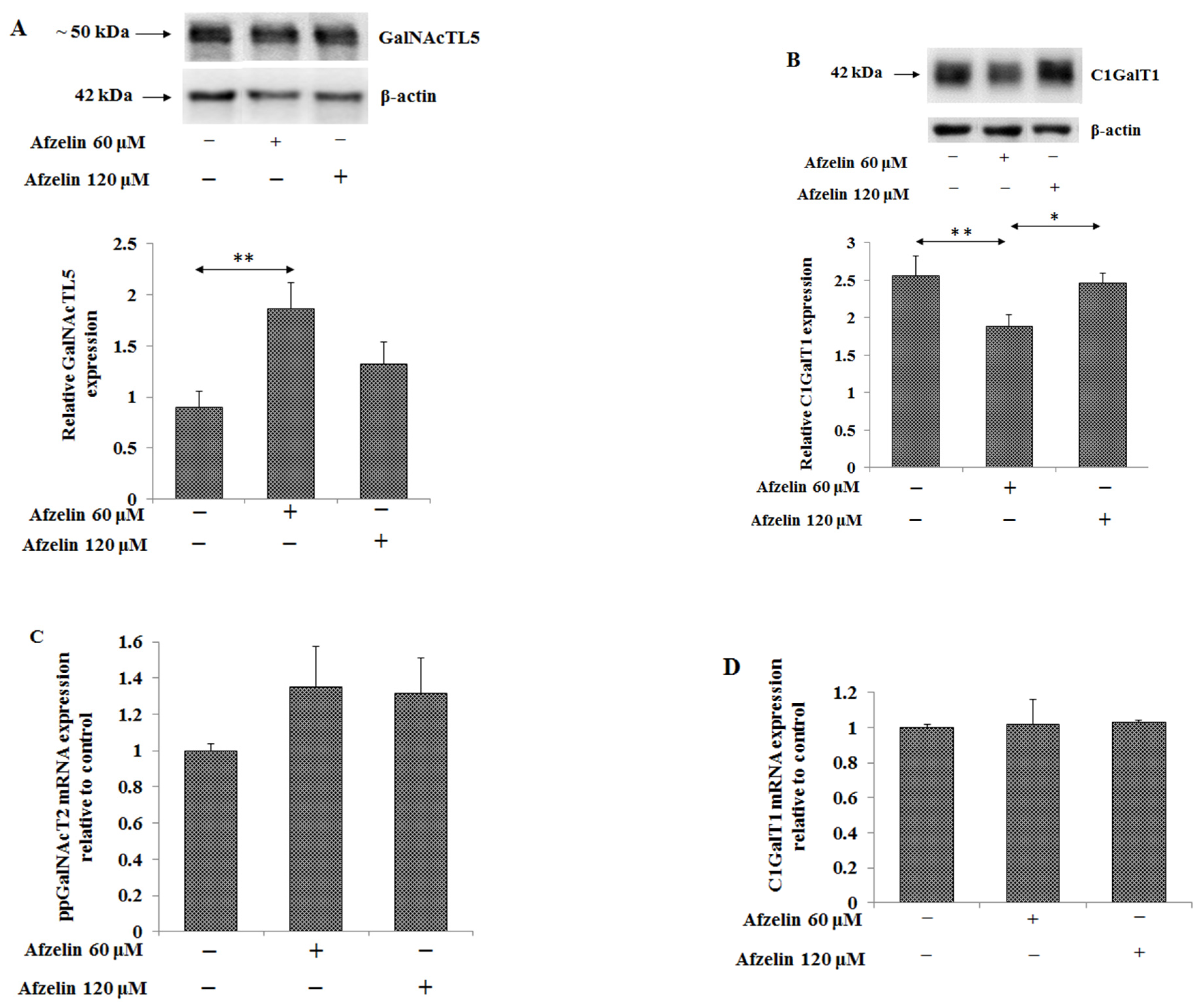 Pharmaceuticals 14 00973 g007 550