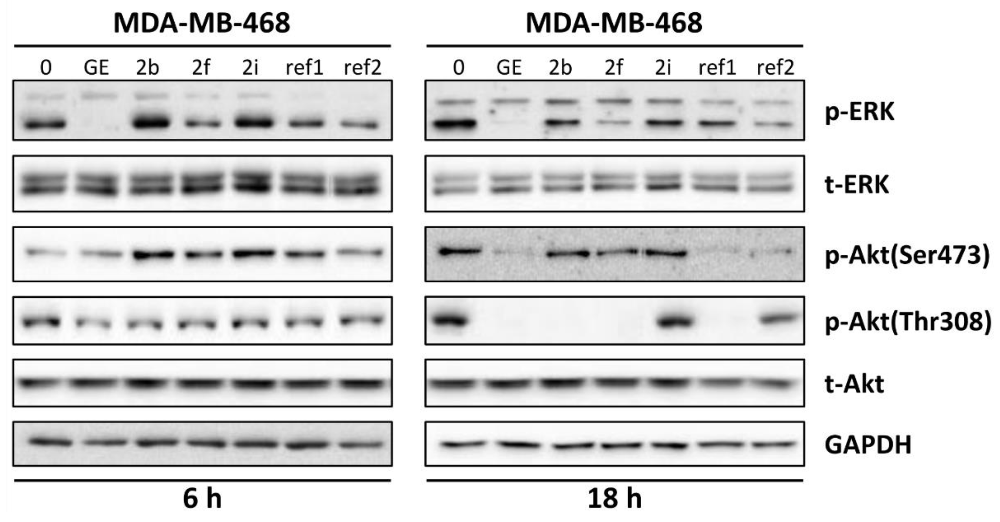 Pharmaceuticals 14 00974 g004 550