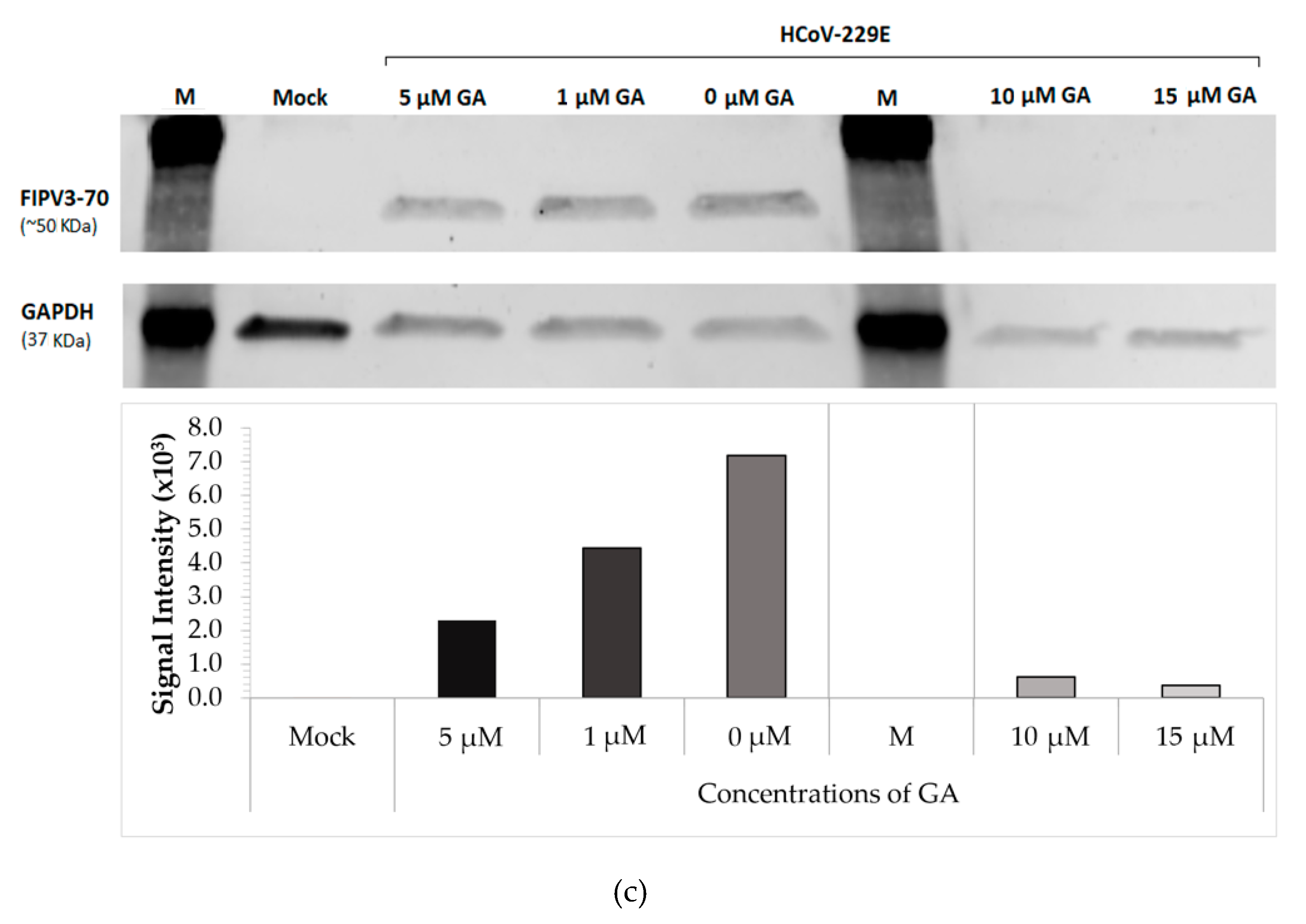 Pharmaceuticals 14 00980 g001b
