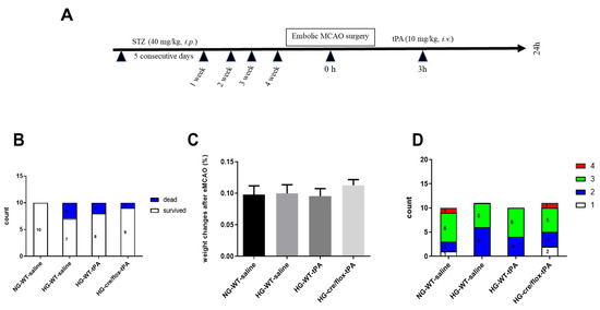 Pharmaceuticals Free Full Text Endothelial Thioredoxin Interacting Protein Depletion Reduces Hemorrhagic Transformation In Hyperglycemic Mice After Embolic Stroke And Thrombolytic Therapy Html