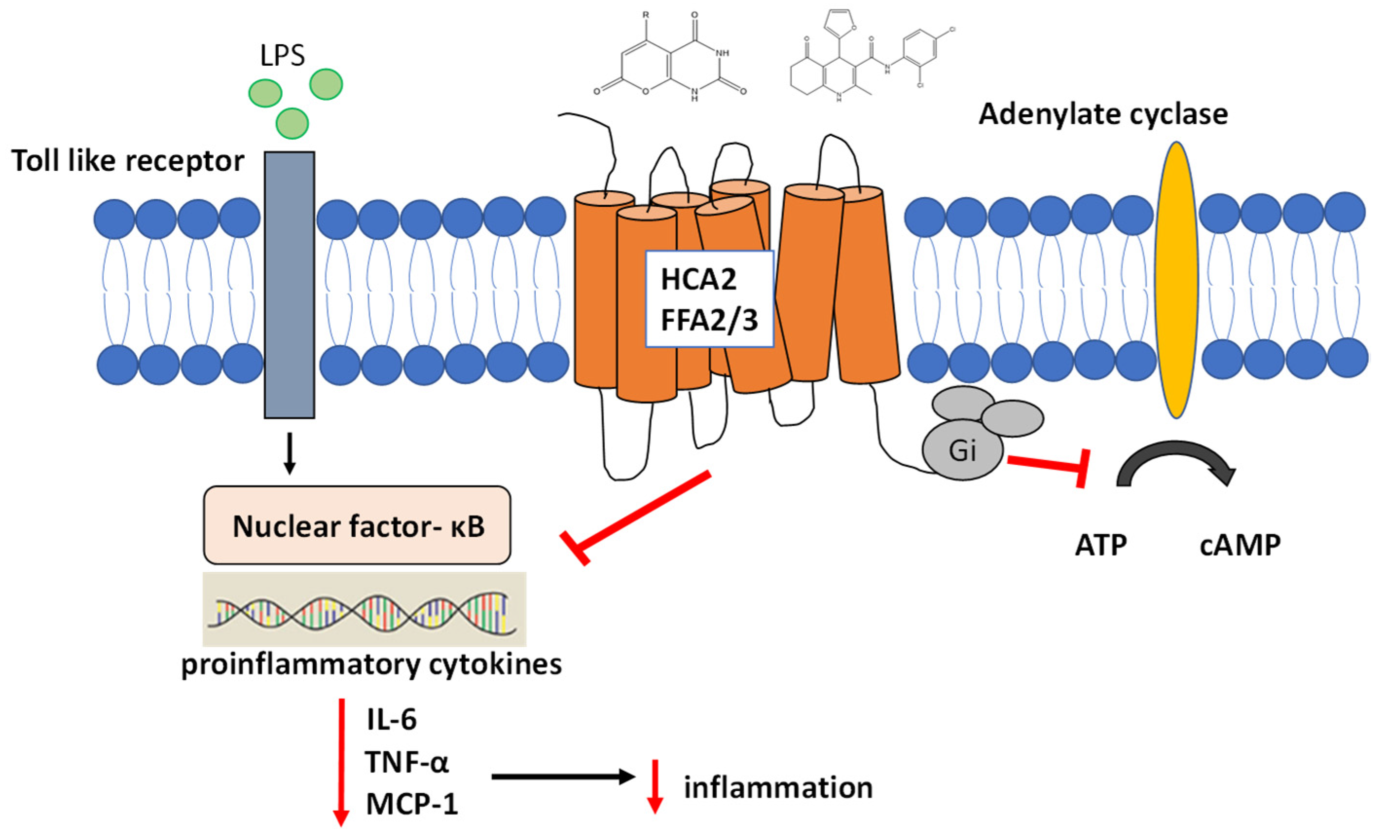 Pharmaceuticals 14 00987 g006