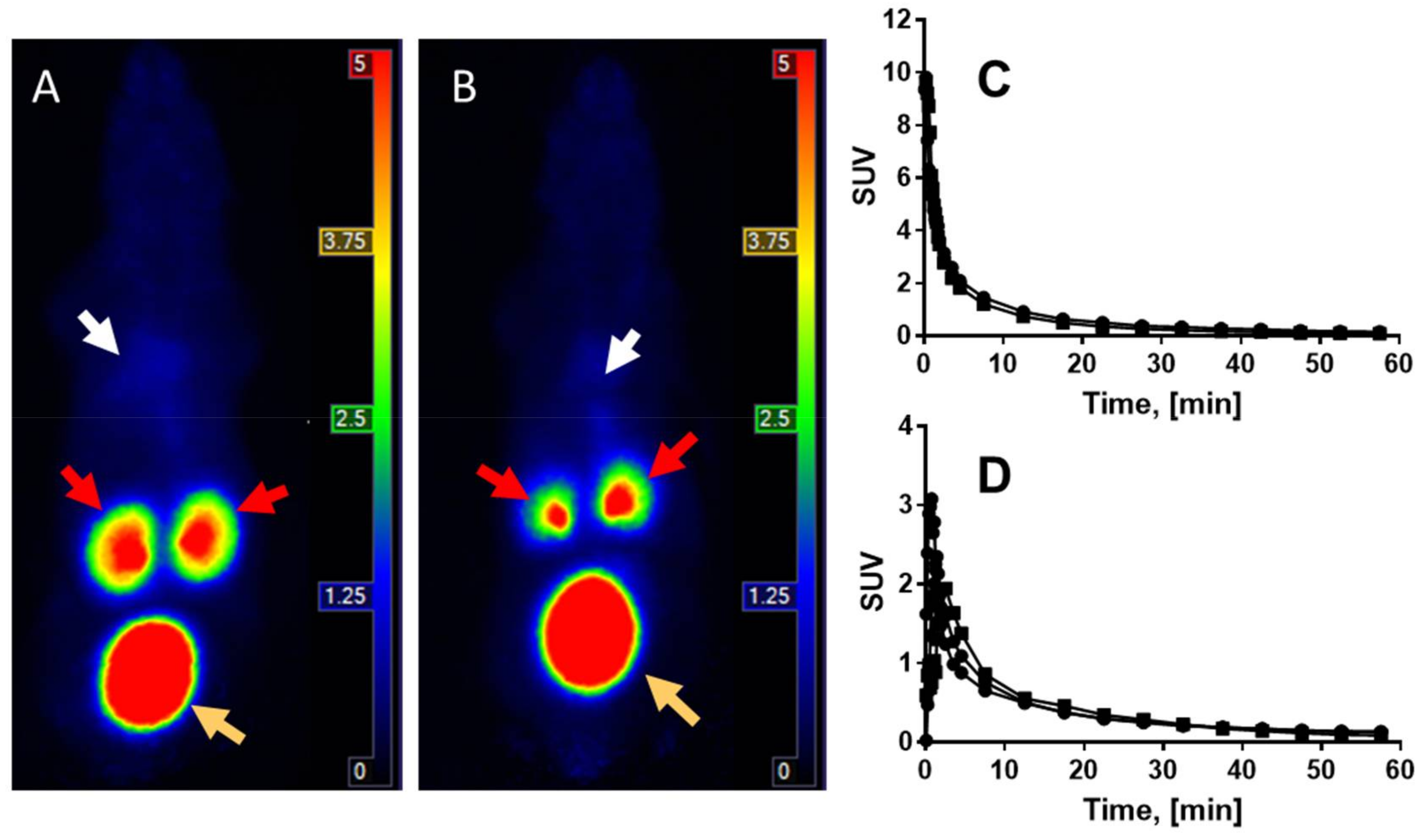 Pharmaceuticals 14 00990 g004 550