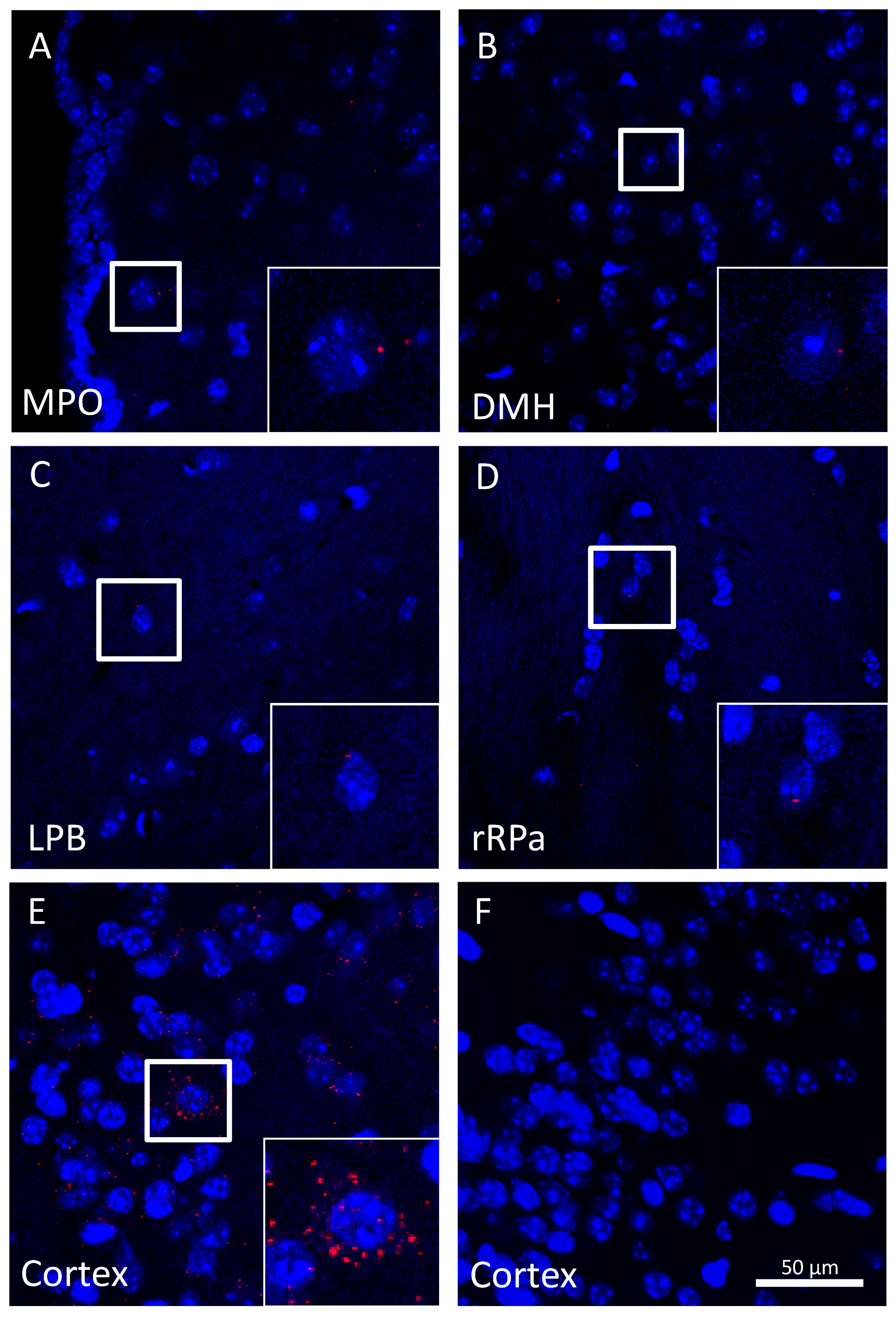 Pharmaceuticals 14 00992 g006