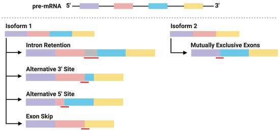Implications of Antigen Selection on T Cell-Based Immunotherapy
