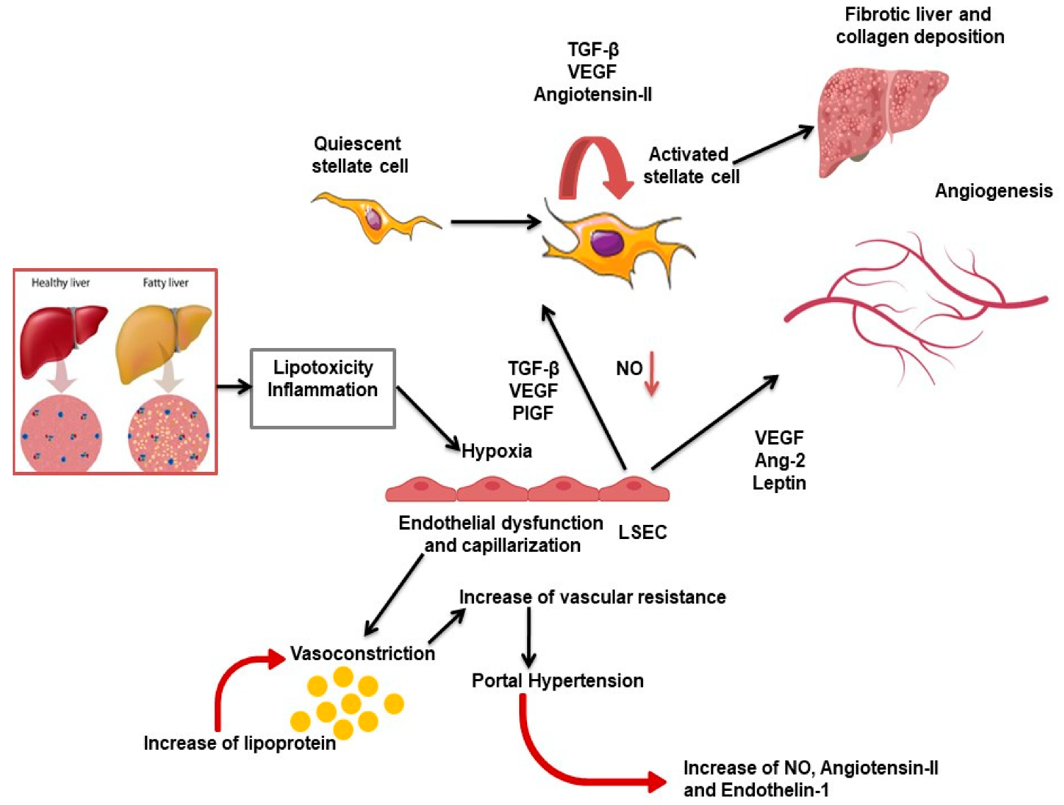 Pharmaceuticals 14 00995 g001 Pharmaceuticals 14 00995 g001