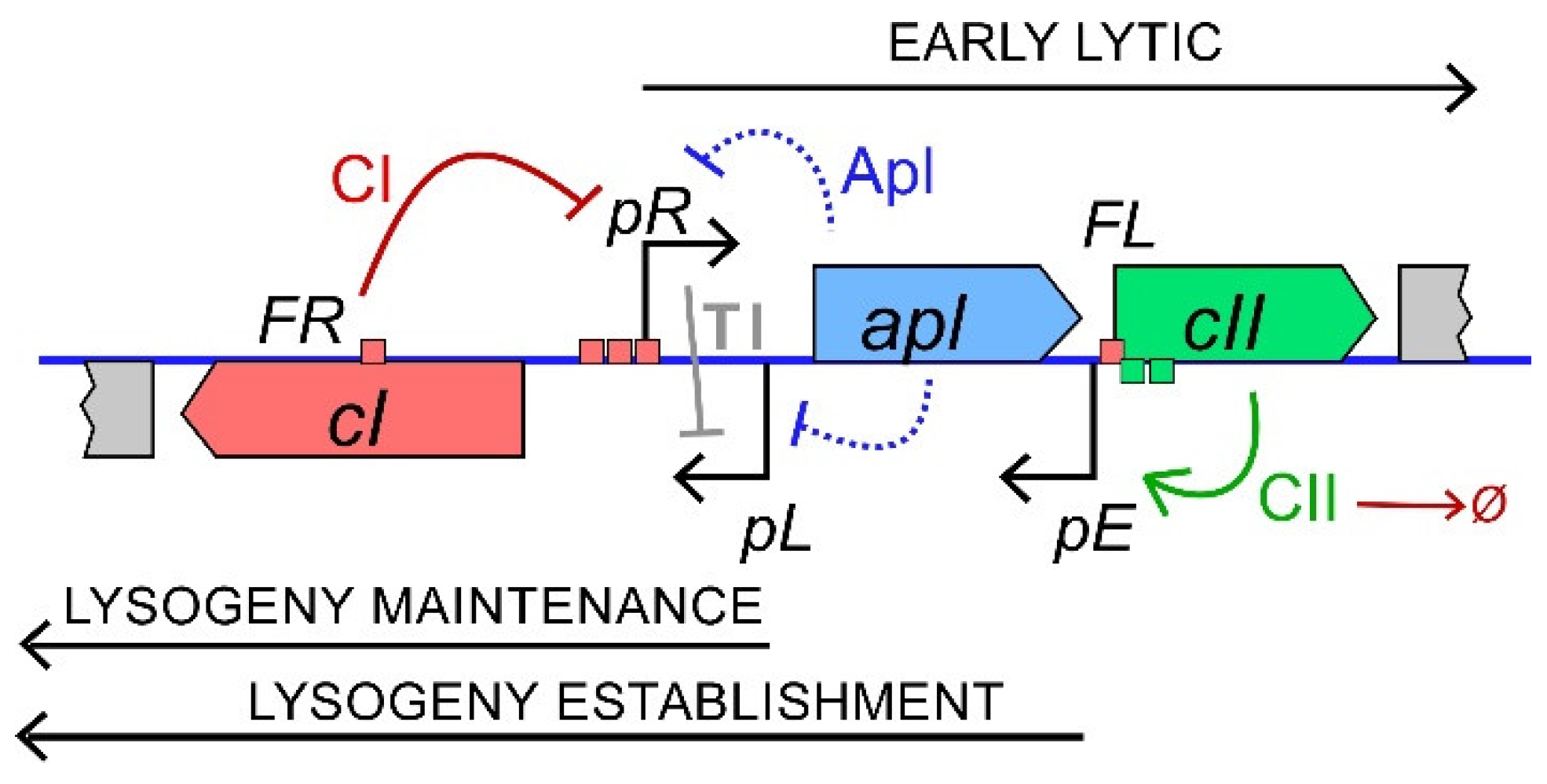 Pharmaceuticals 14 00998 g001 Pharmaceuticals 14 00998 g001