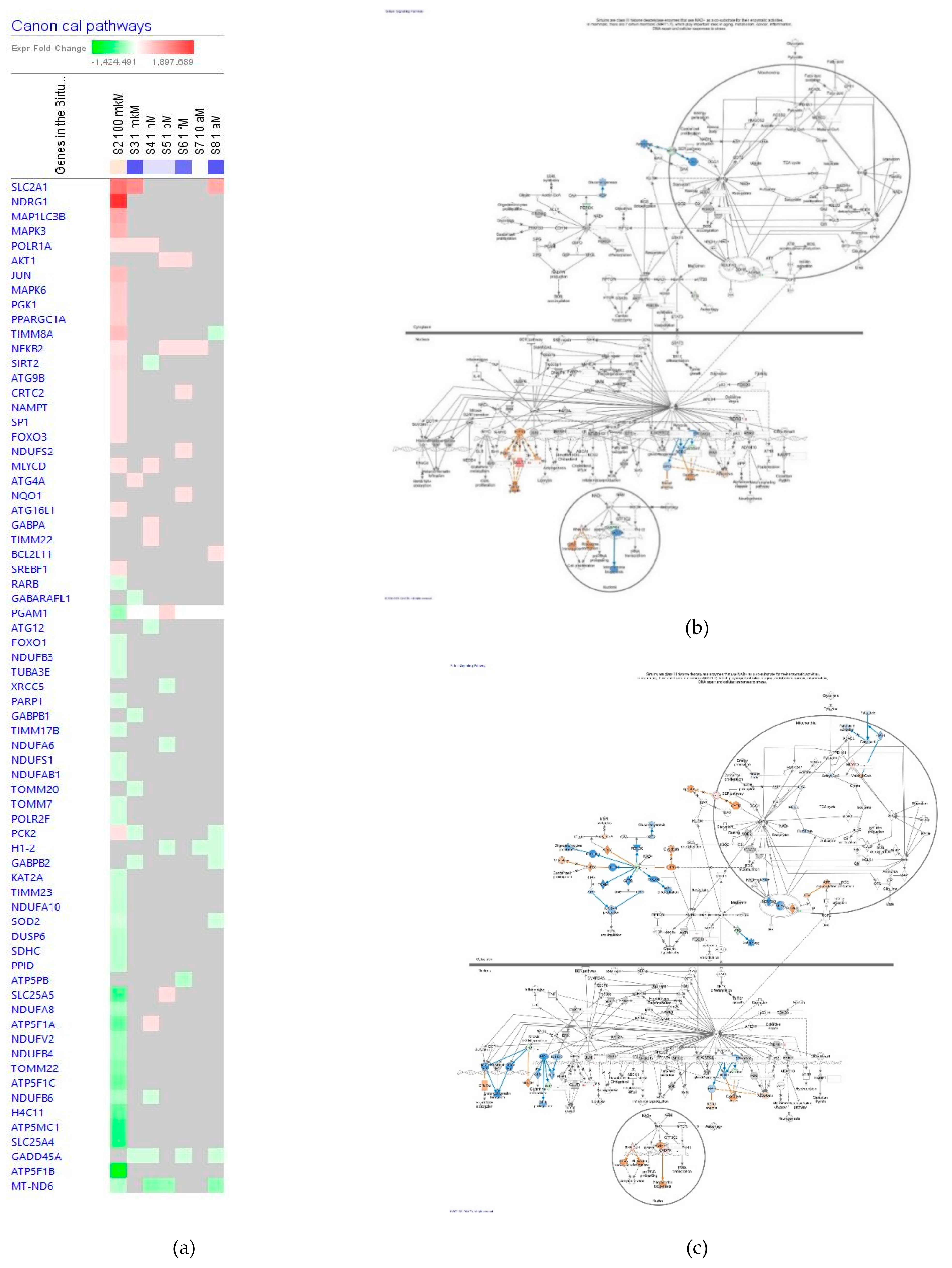 Pharmaceuticals 14 00999 g011