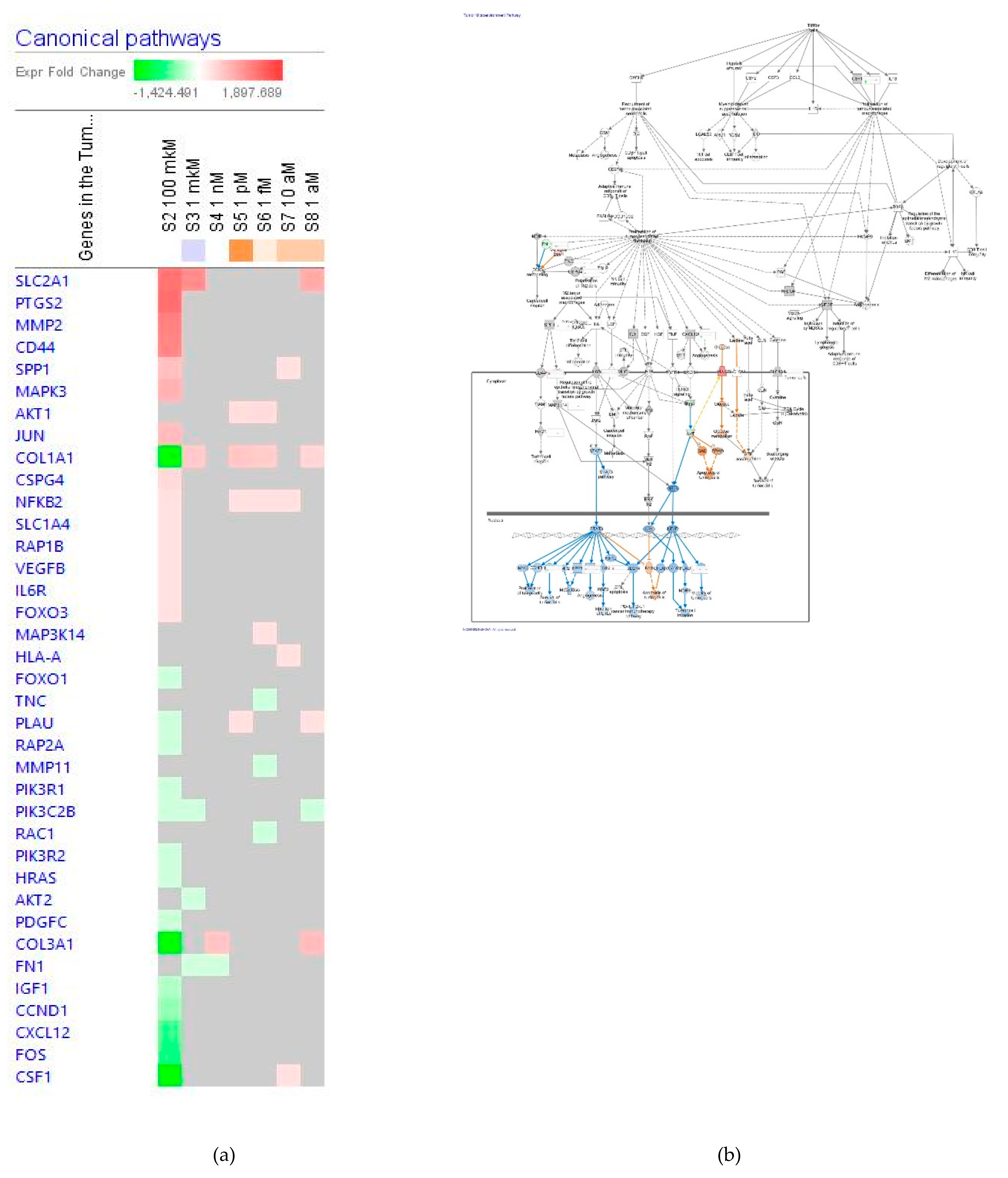 Pharmaceuticals 14 00999 g013