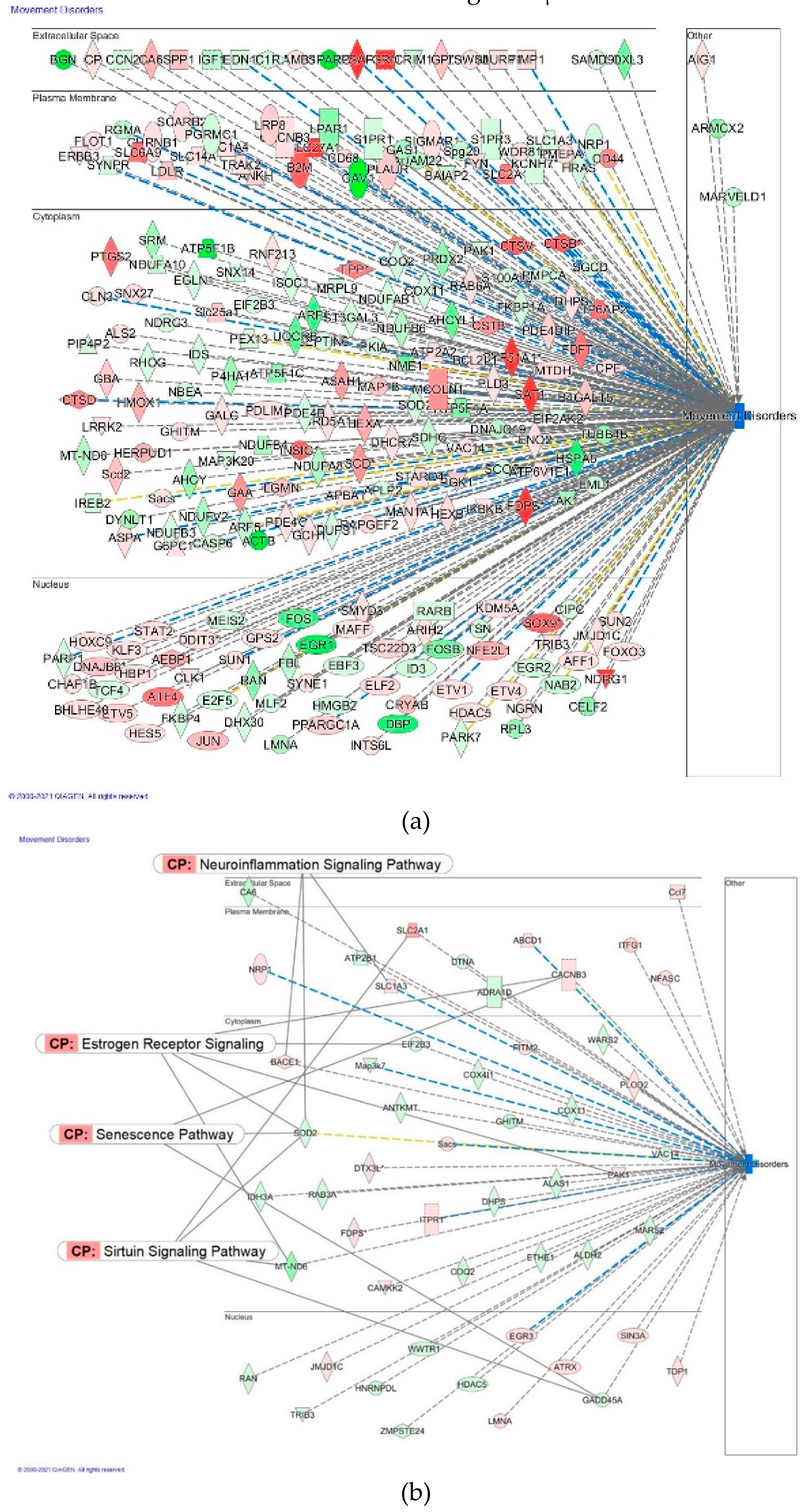 Pharmaceuticals 14 00999 g021