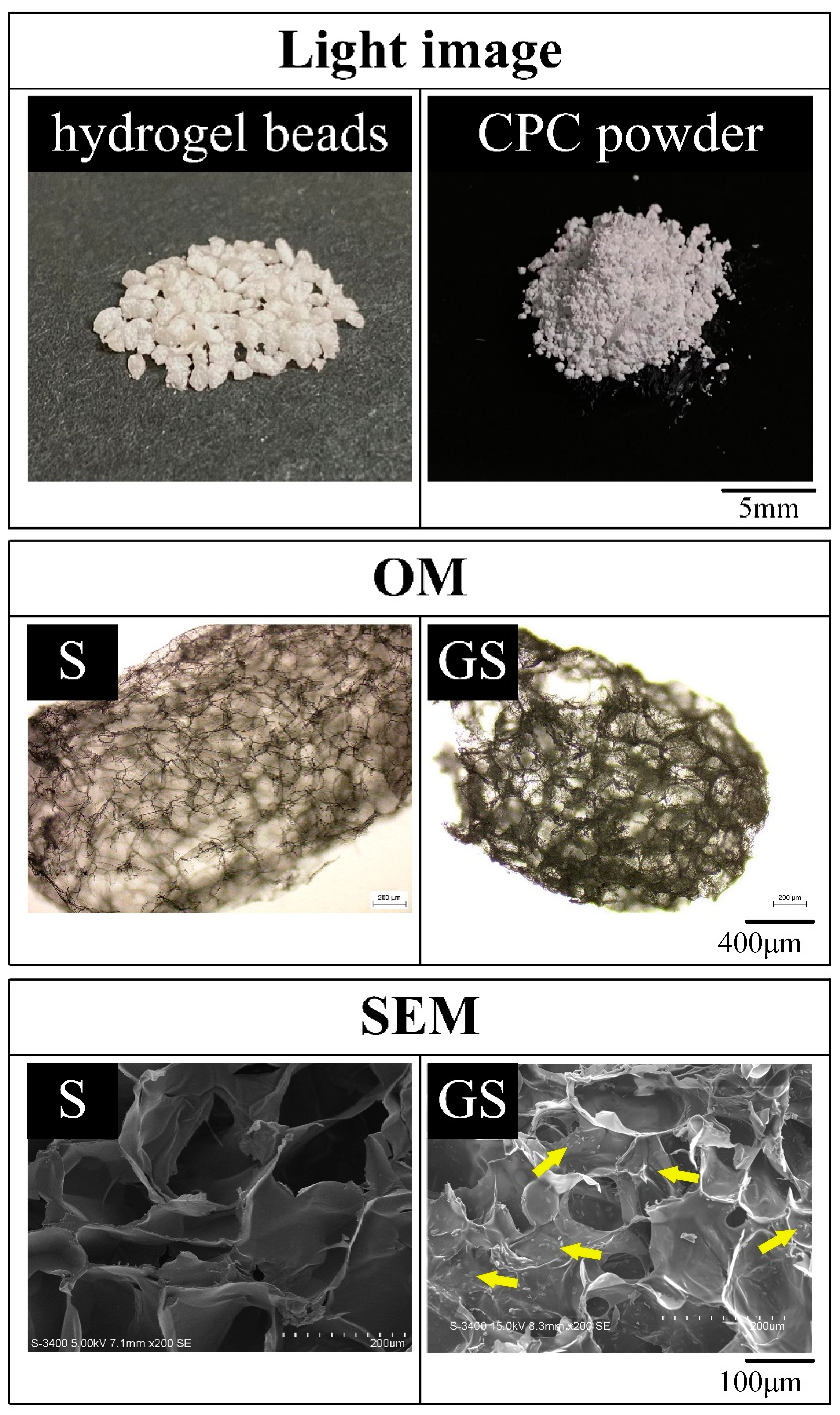 Pharmaceuticals 14 01000 g001