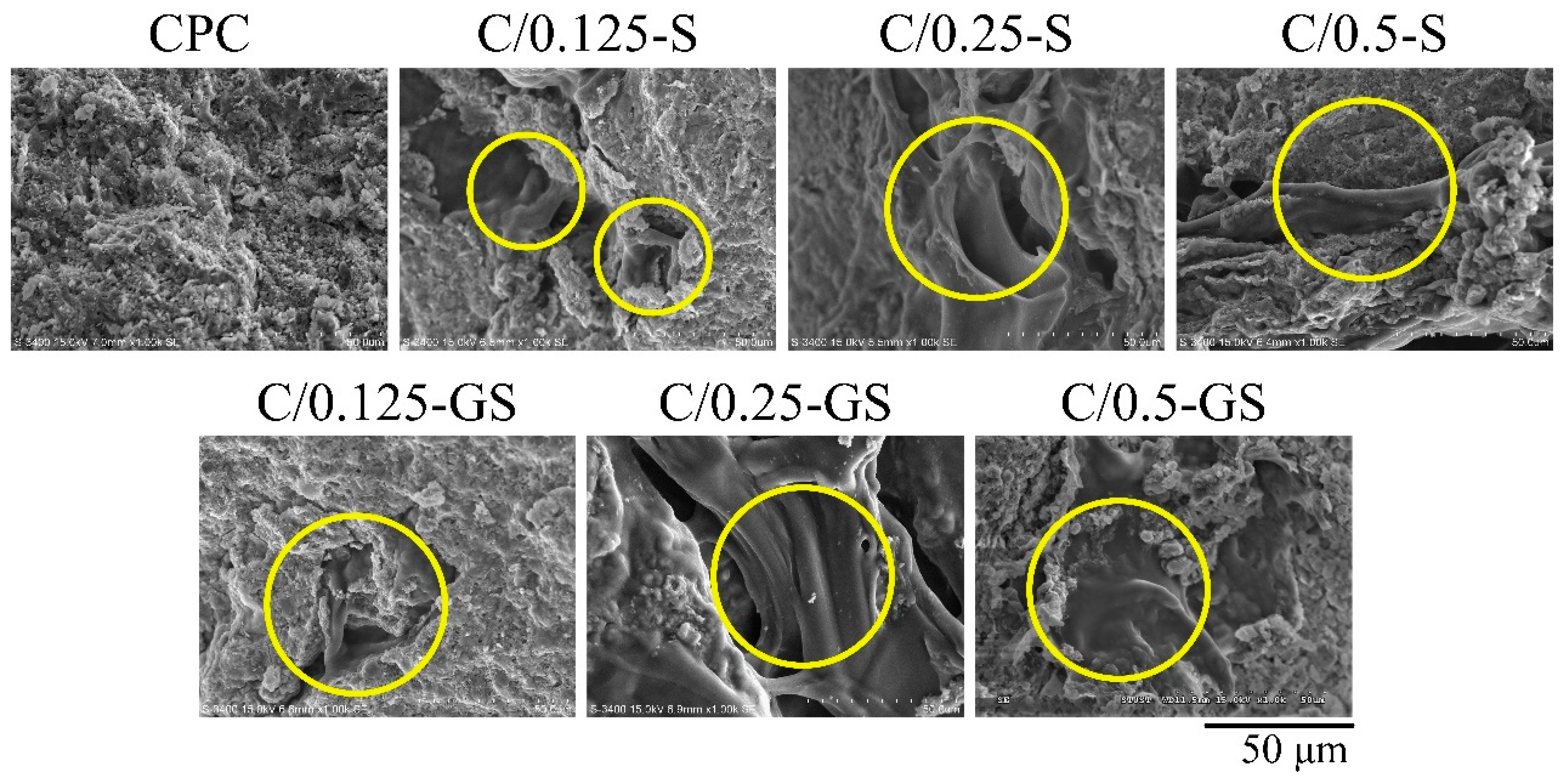 Pharmaceuticals 14 01000 g003