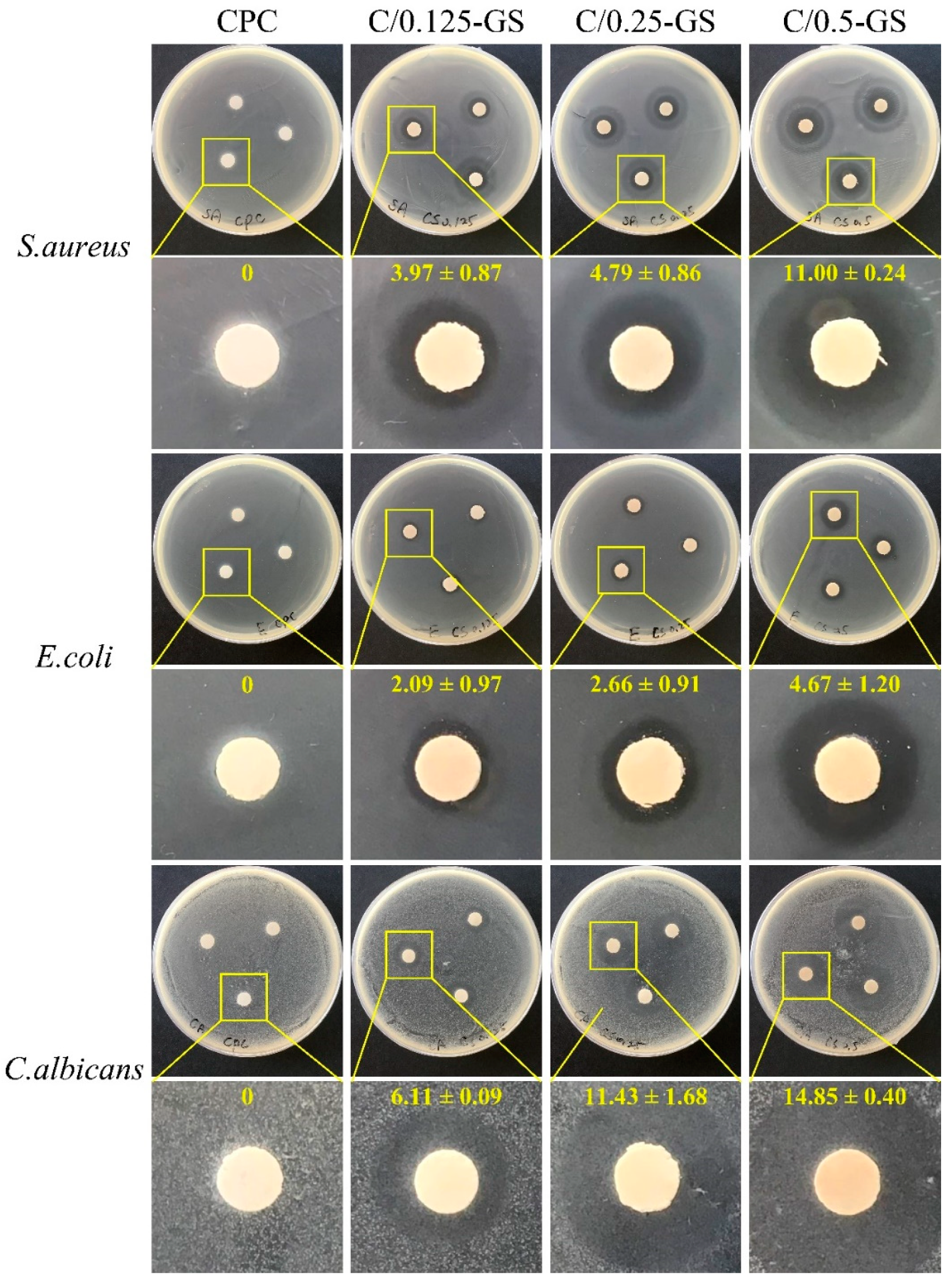 Pharmaceuticals 14 01000 g007