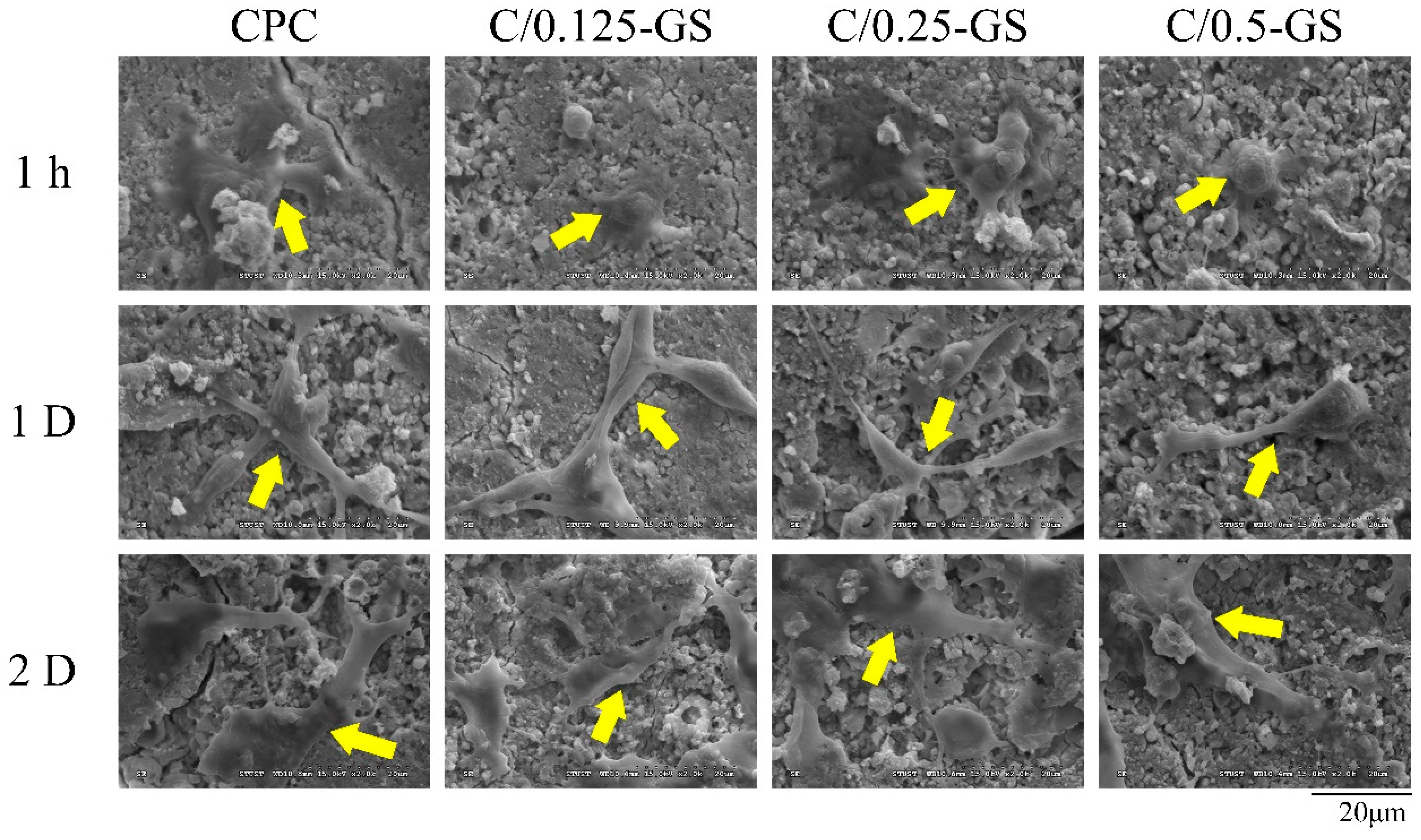 Pharmaceuticals 14 01000 g010