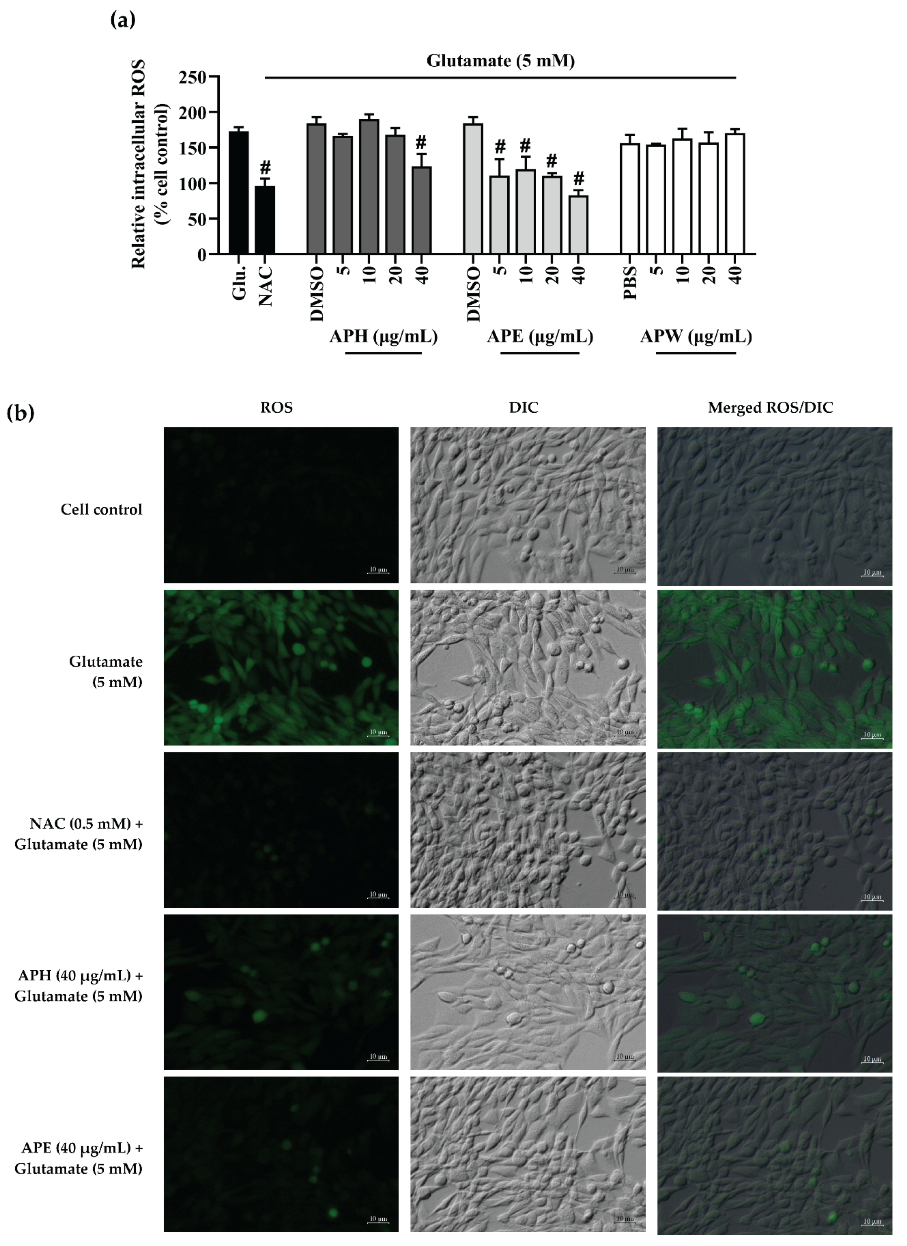 Pharmaceuticals 14 01001 g004