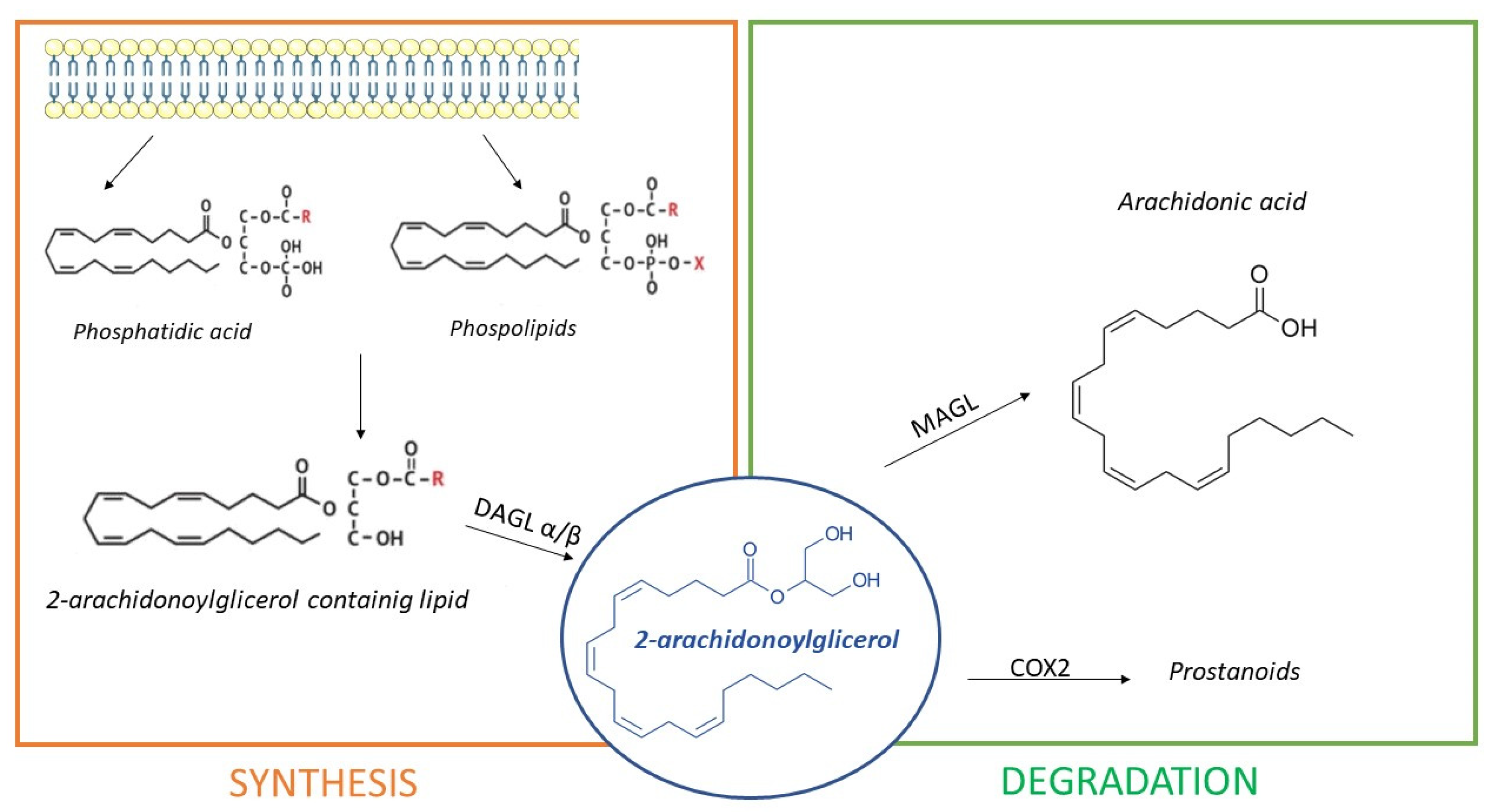 Pharmaceuticals 14 01002 g003 Pharmaceuticals 14 01002 g003