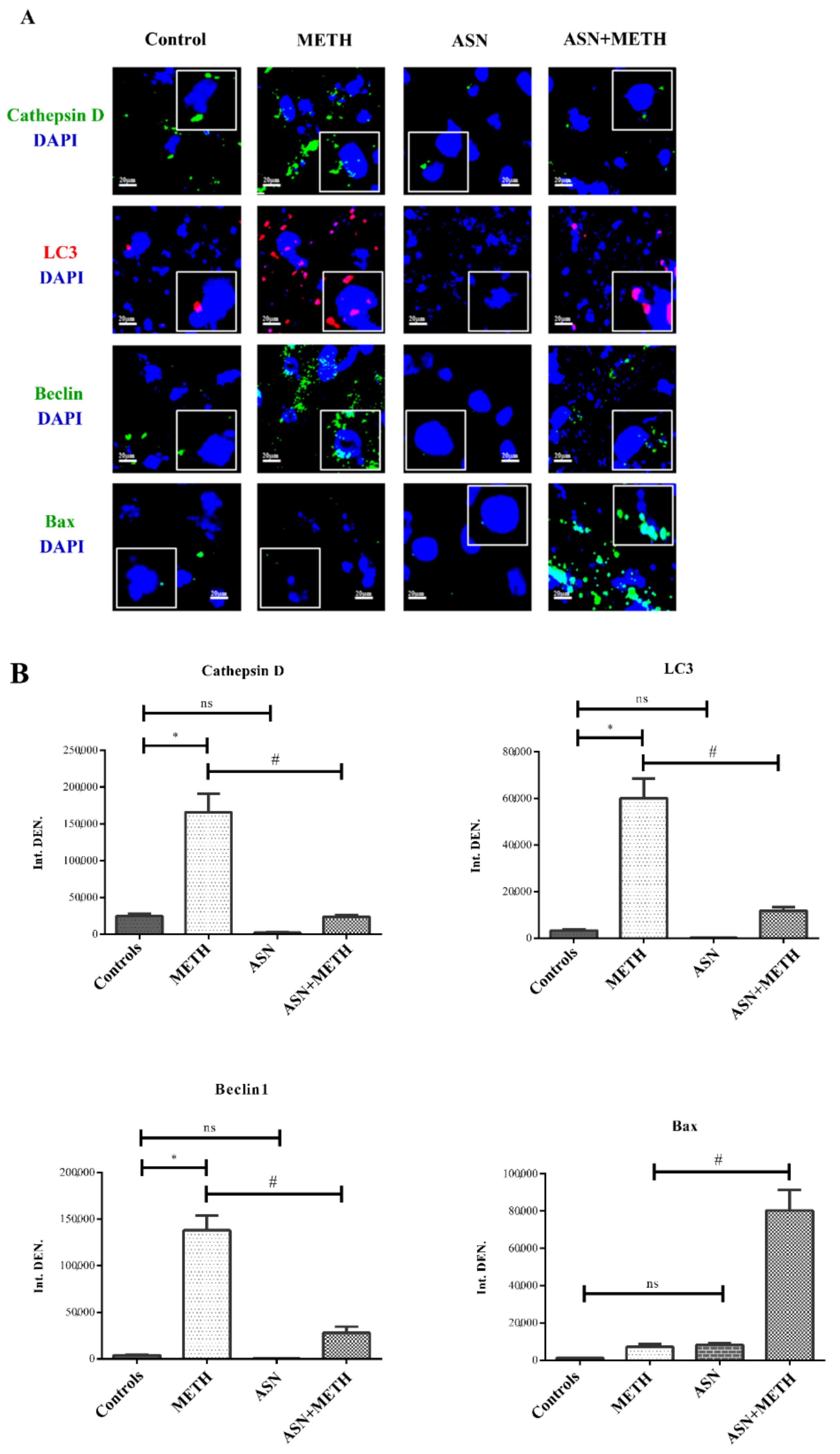 Pharmaceuticals 14 01003 g001 Pharmaceuticals 14 01003 g001