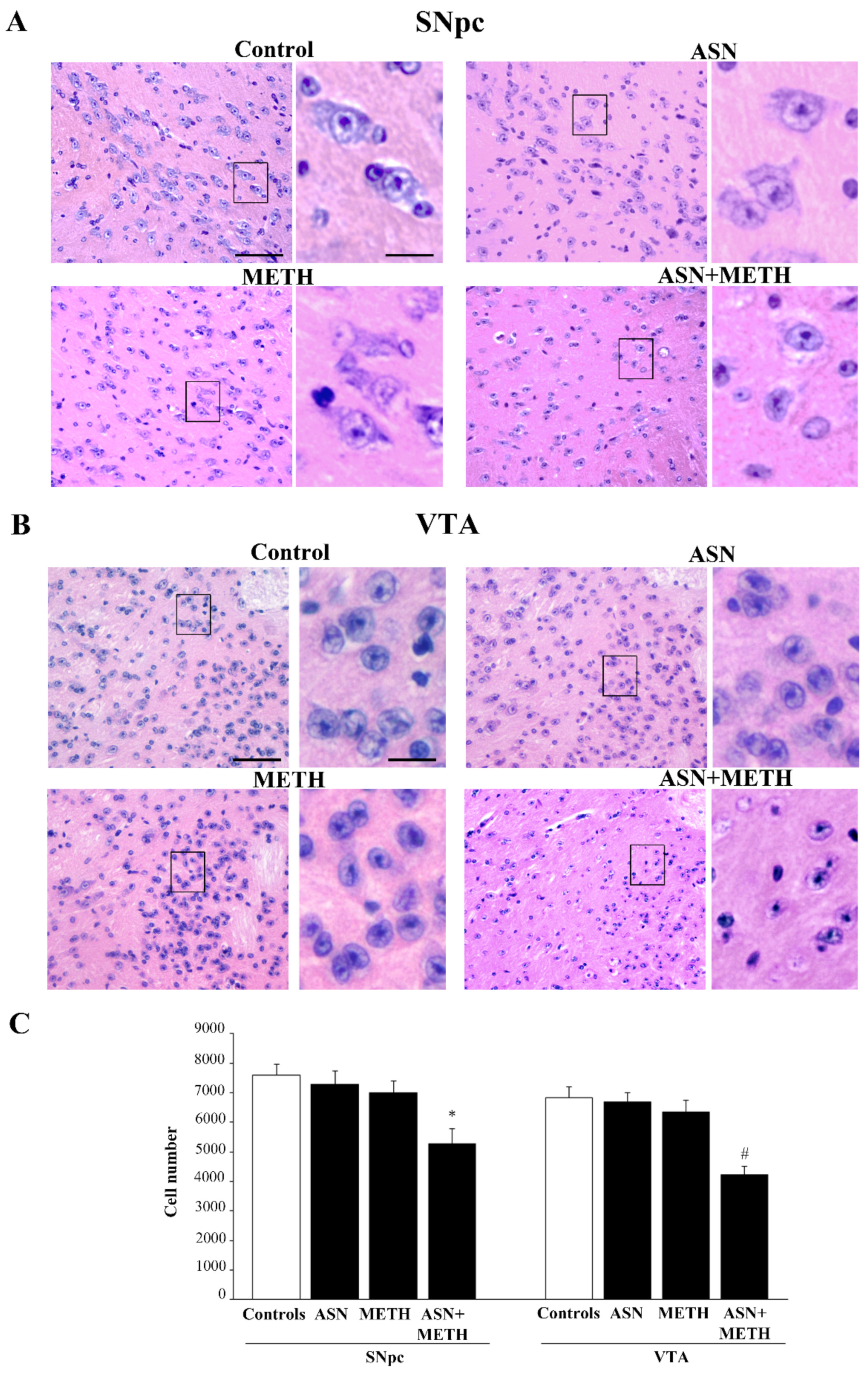 Pharmaceuticals 14 01003 g005 Pharmaceuticals 14 01003 g005