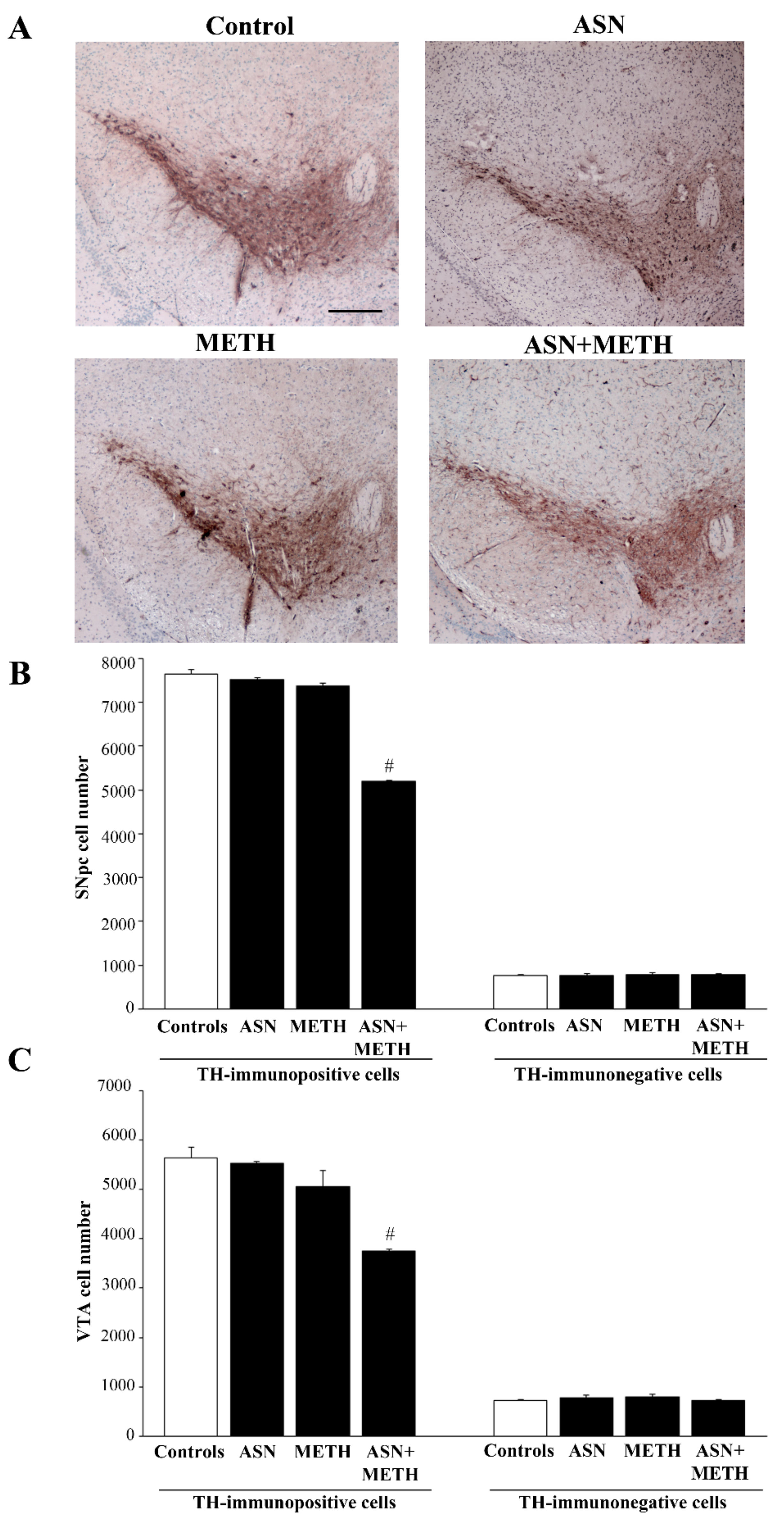 Pharmaceuticals 14 01003 g006 Pharmaceuticals 14 01003 g006