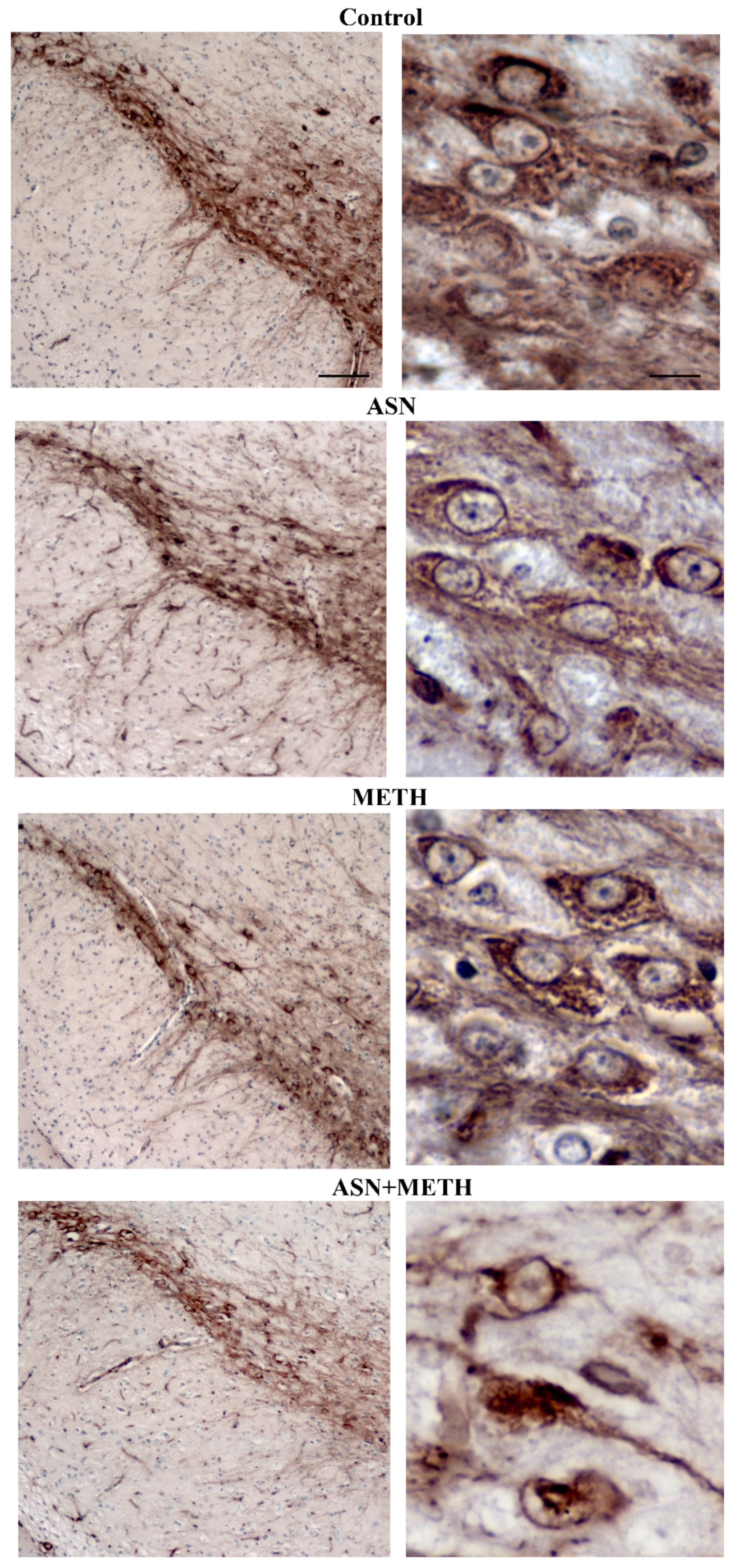 Pharmaceuticals 14 01003 g008 Pharmaceuticals 14 01003 g008