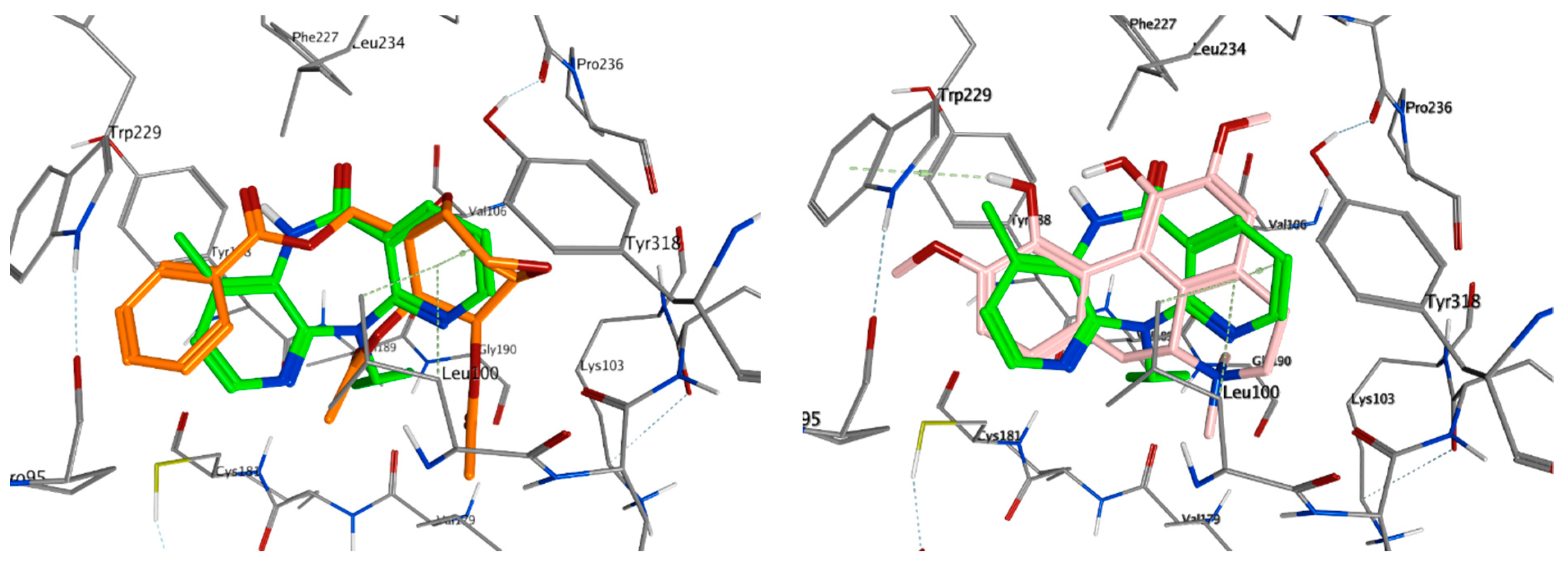 Pharmaceuticals 14 01009 g003 Pharmaceuticals 14 01009 g003