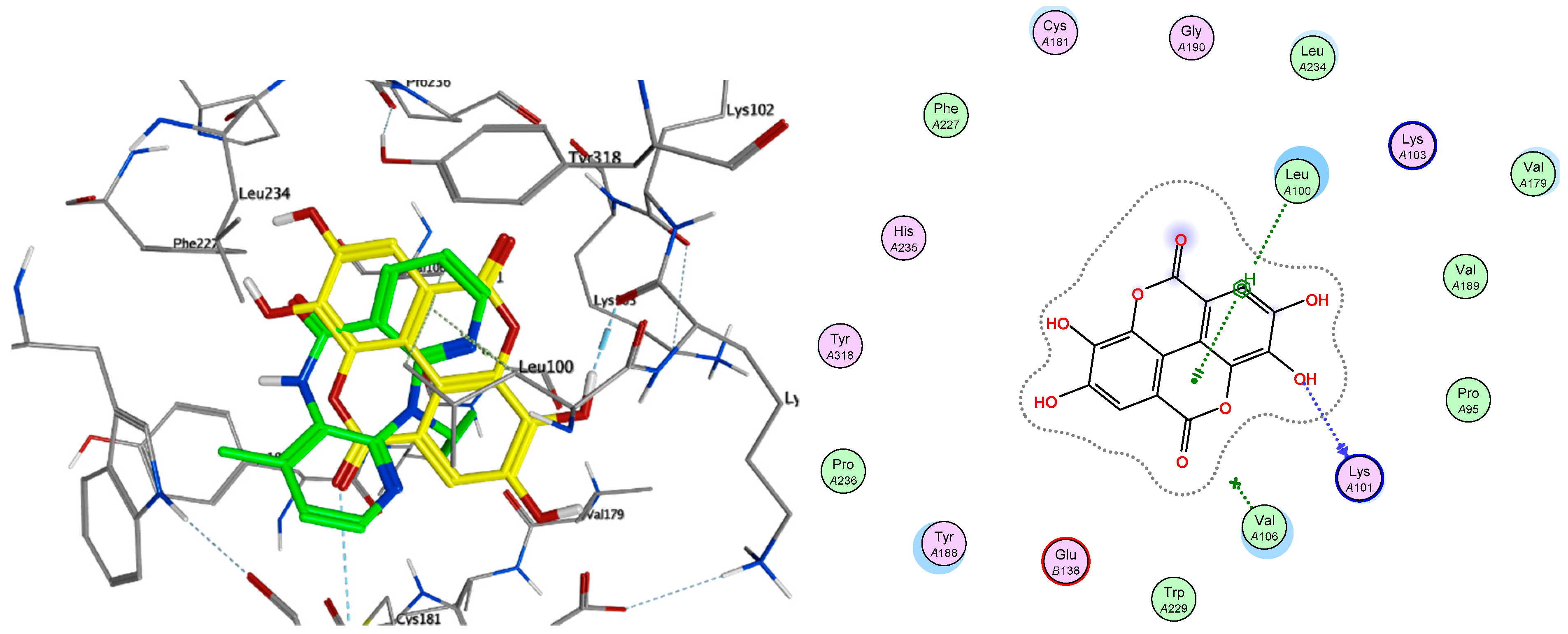 Pharmaceuticals 14 01009 g005 Pharmaceuticals 14 01009 g005