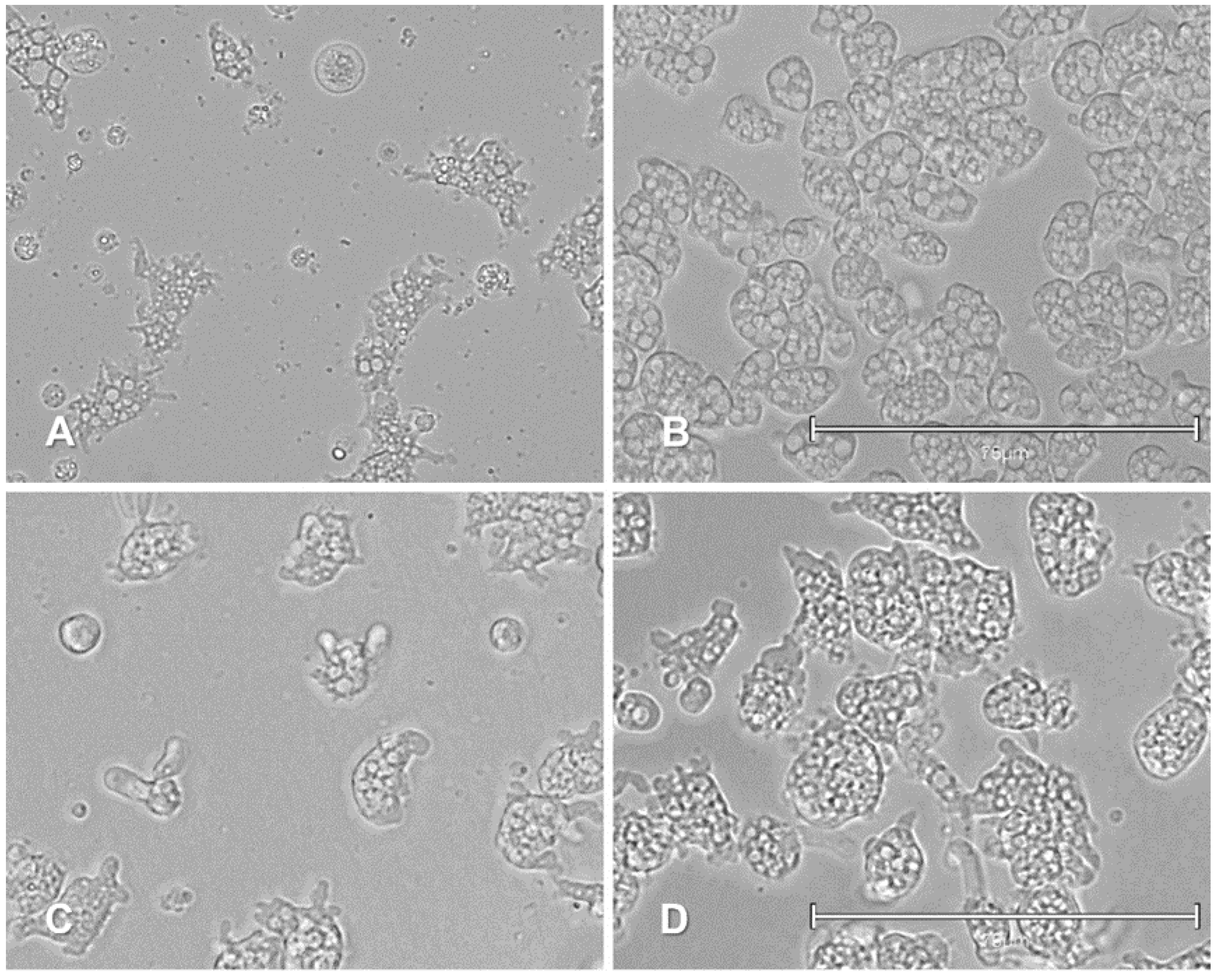 Pharmaceuticals 14 01013 g003